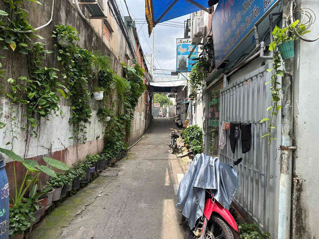 htl7154-(3)_optimized