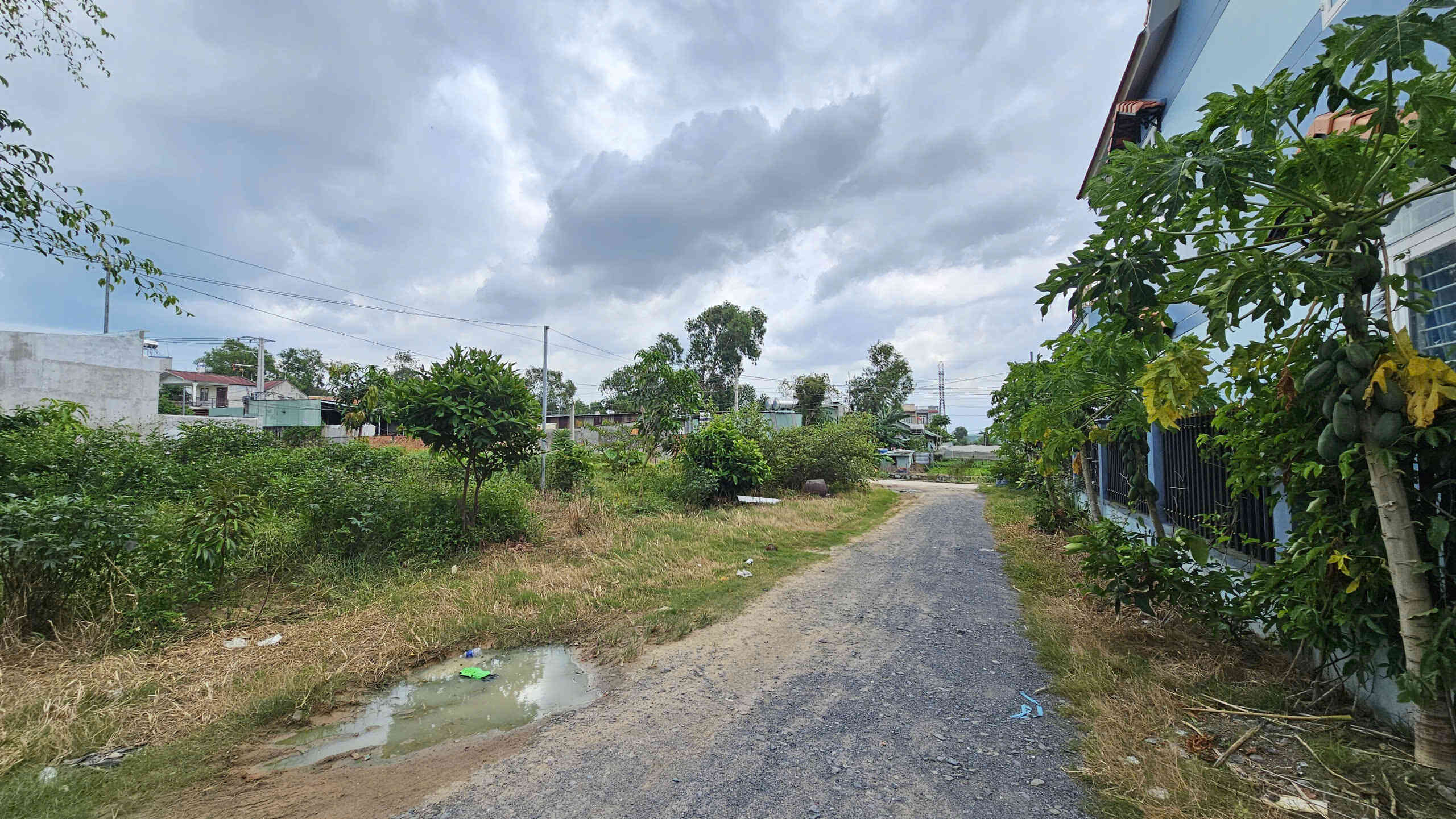 htl7161-(5)_optimized