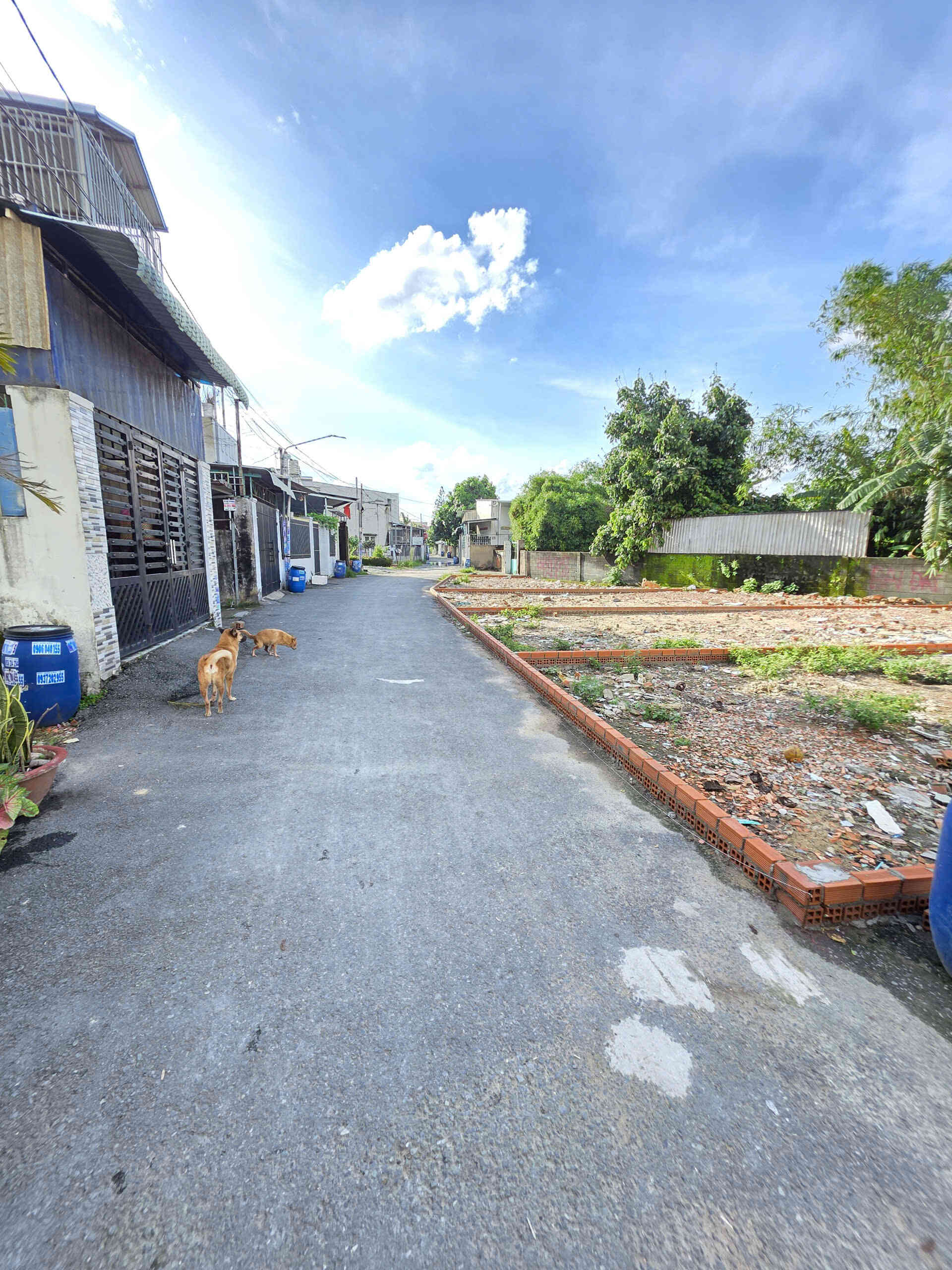 htl7239-(4)_optimized