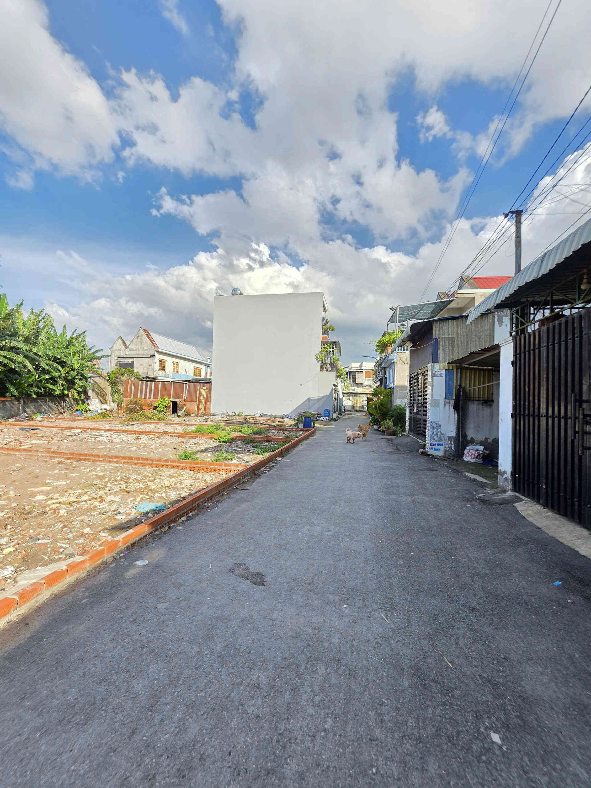 htl7239-(5)_optimized