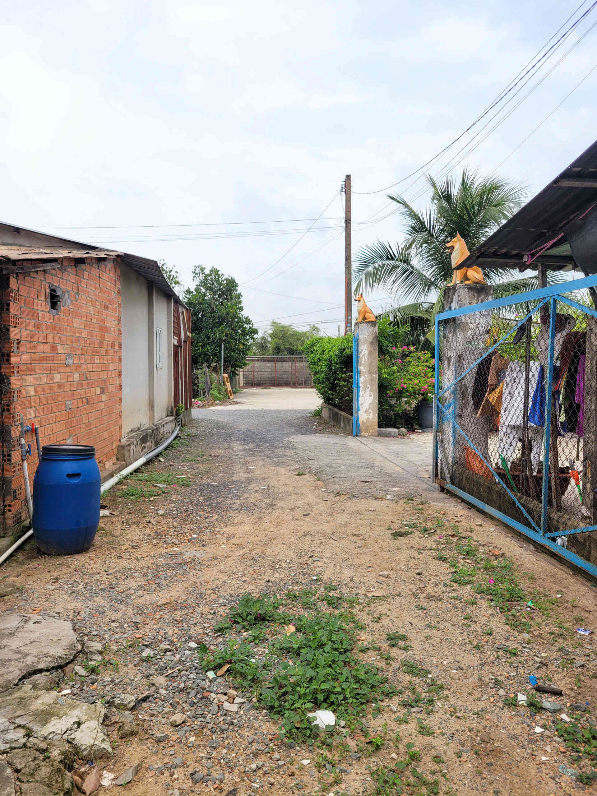 htl7307-(3)_optimized