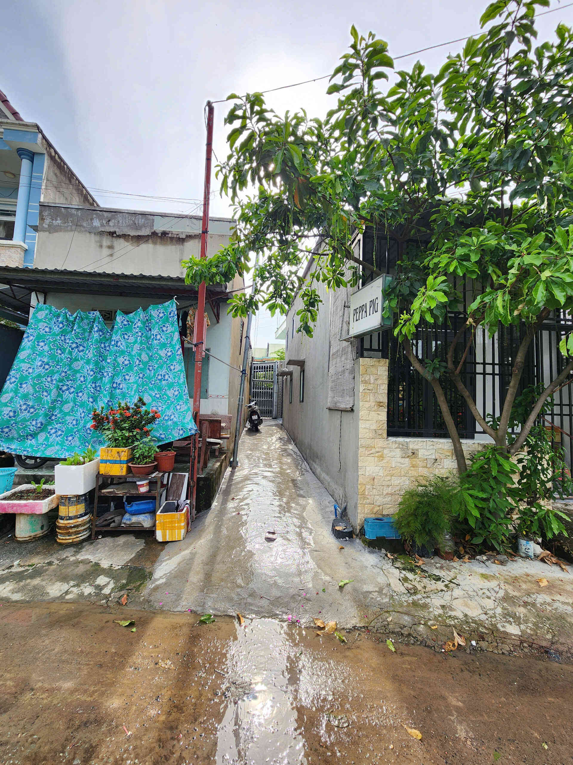 htl7374-(4)_optimized