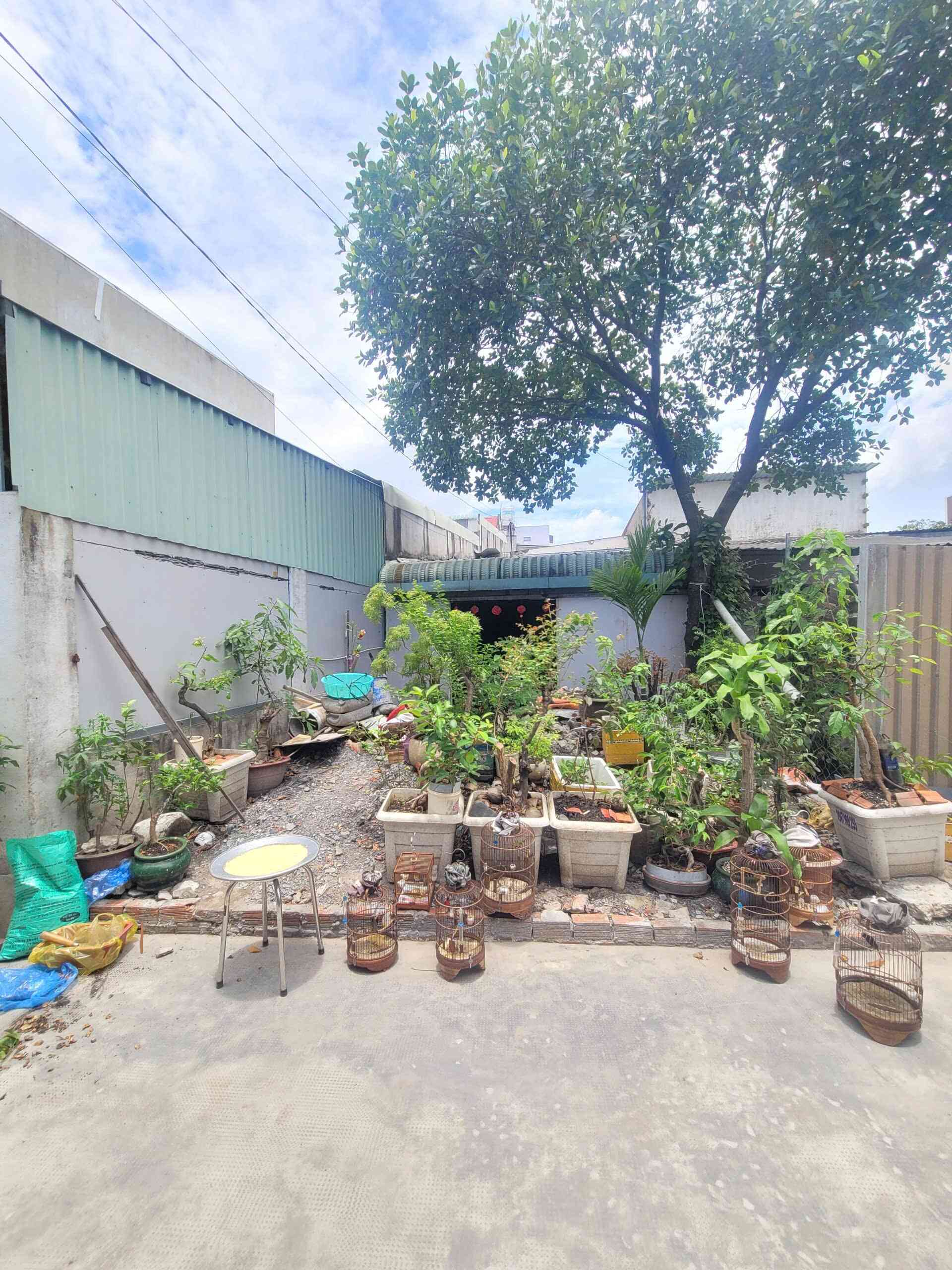 Bán đất 4.4x24m, hẻm Mạch Thị Liễu p. Tân Đông Hiệp gần trường cấp 1,2