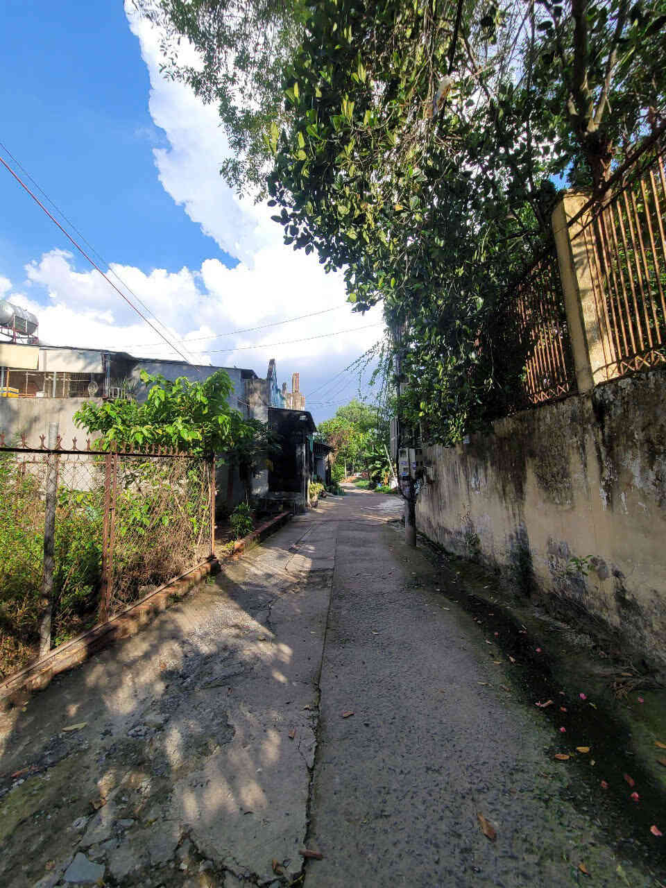 htl6473-(4)_optimized