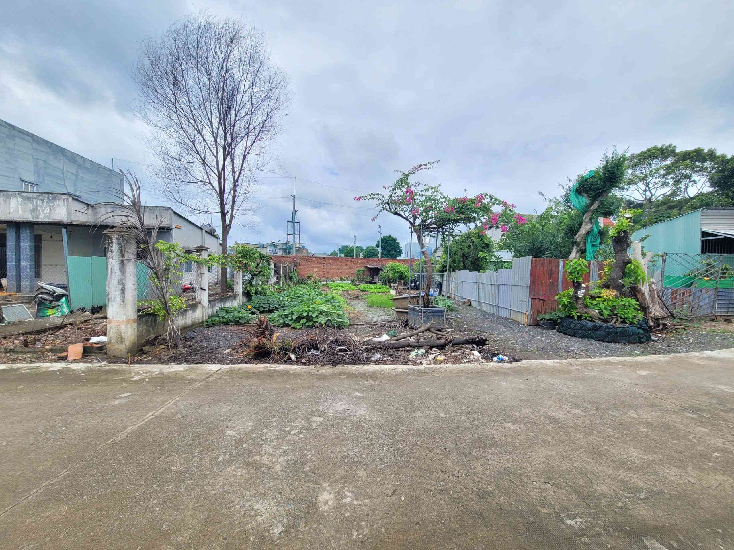 Bán đất 4x29m, hẻm Cây Da p. Tân Bình gần chợ Tân Bình