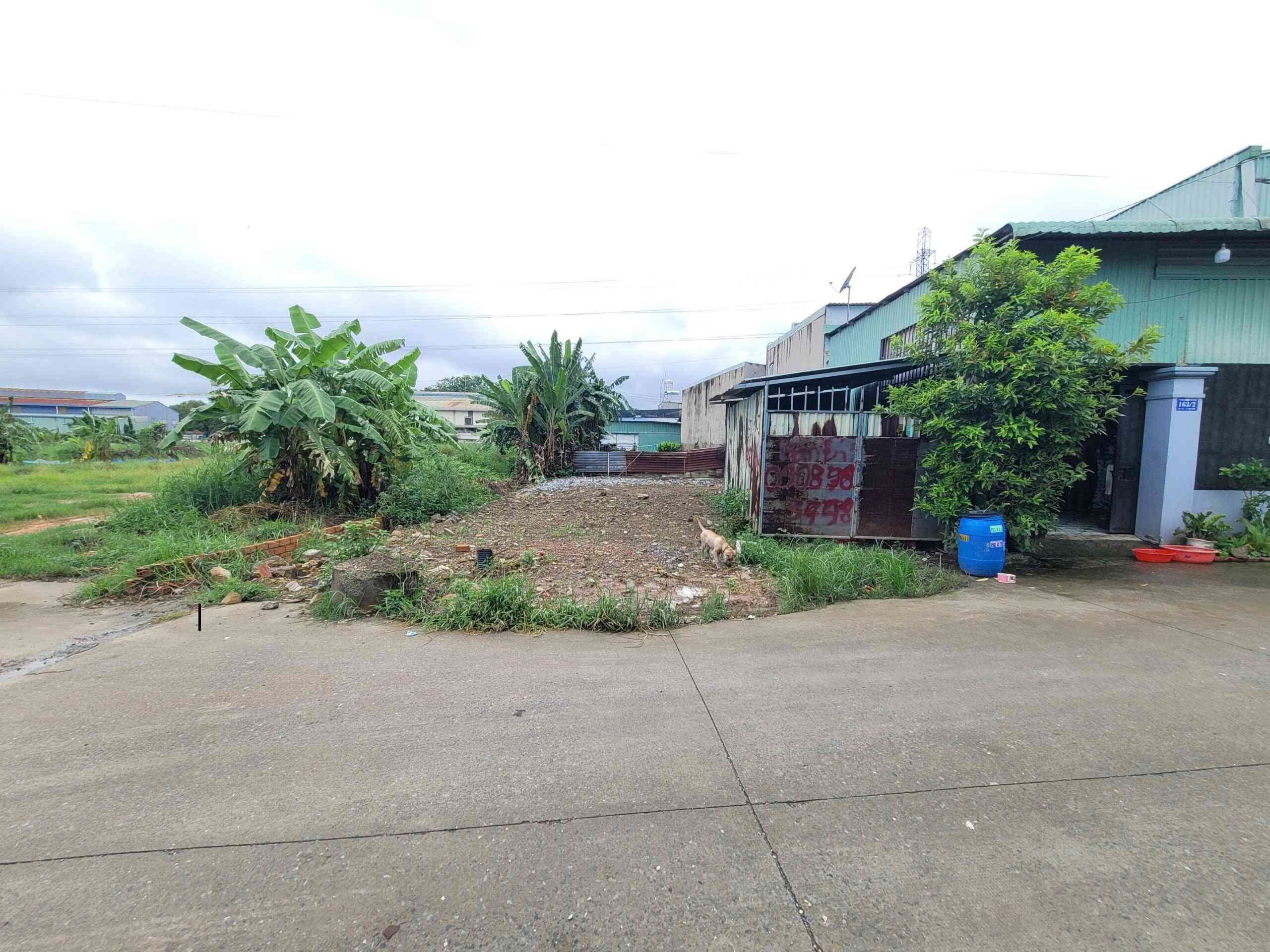 Bán đất 10x19m, hẻm Liên Huyện p. An Phú gần chợ Phú An