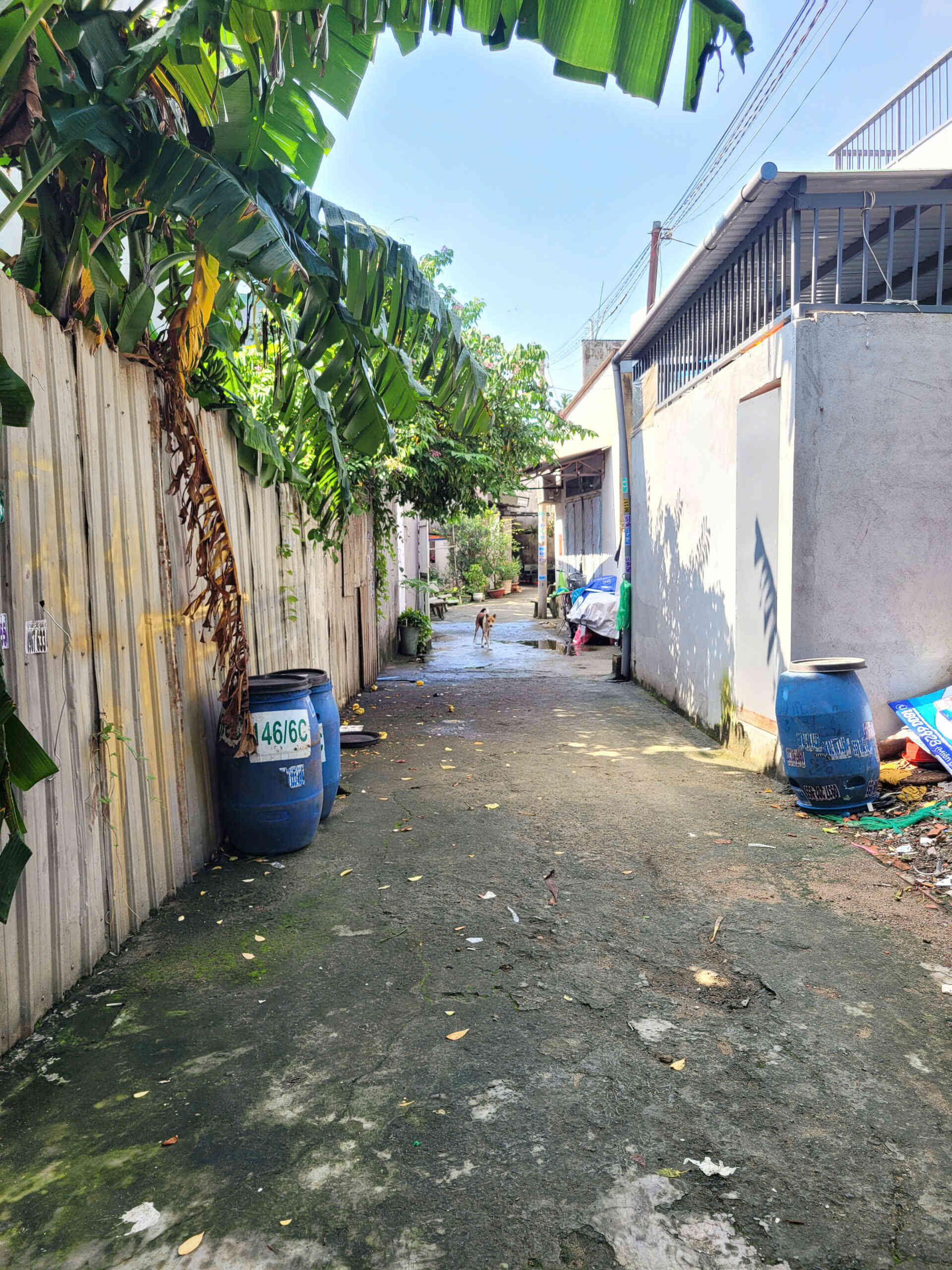 htl7728-(7)_optimized