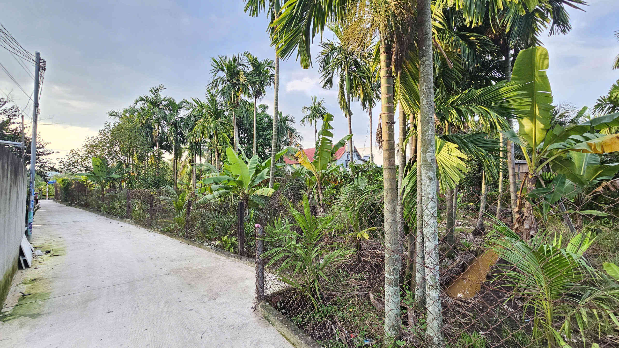 htl7747-(6)_optimized