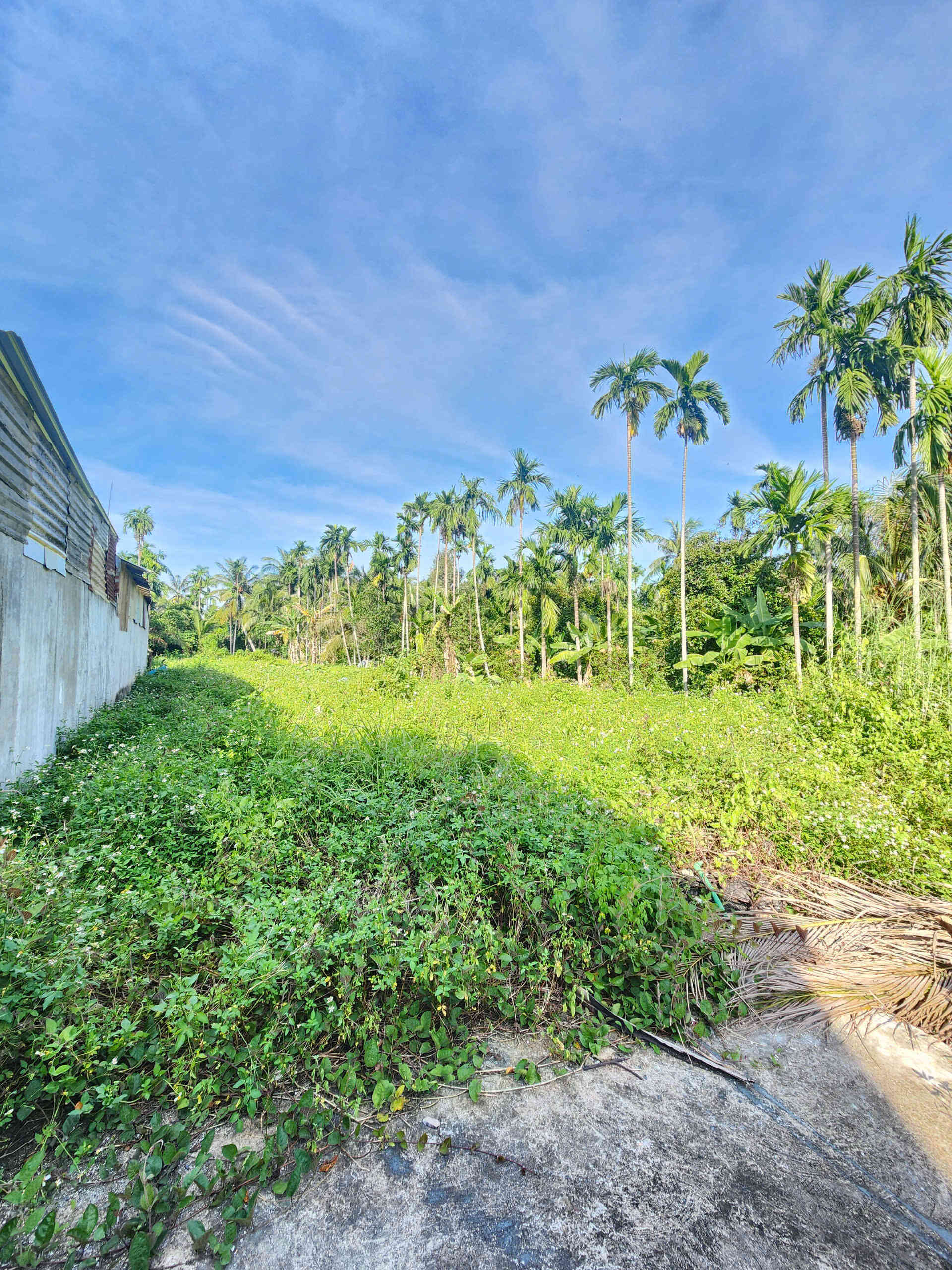 htl7777-(3)_optimized