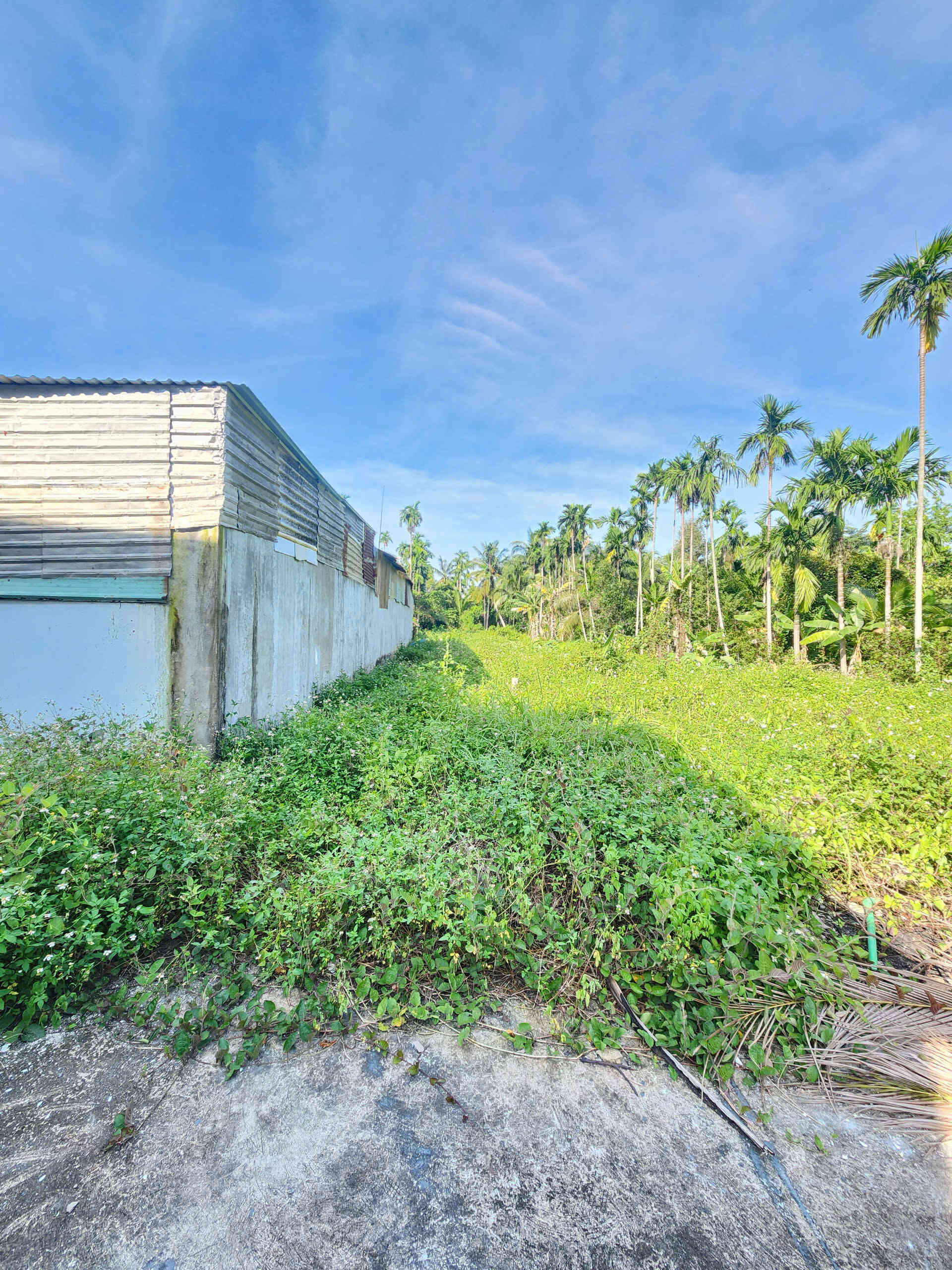 htl7777-(5)_optimized