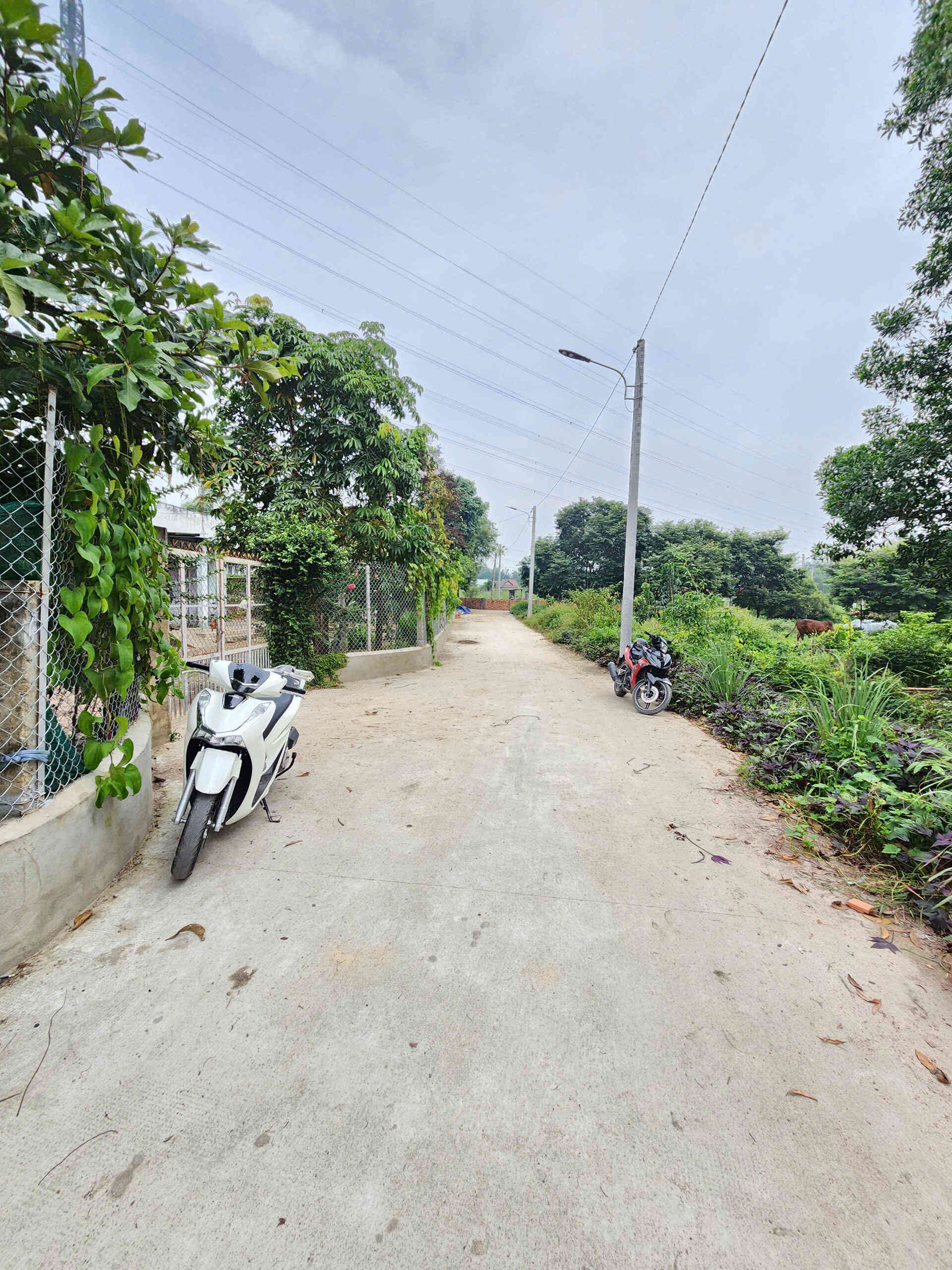 htl7843-(4)_optimized