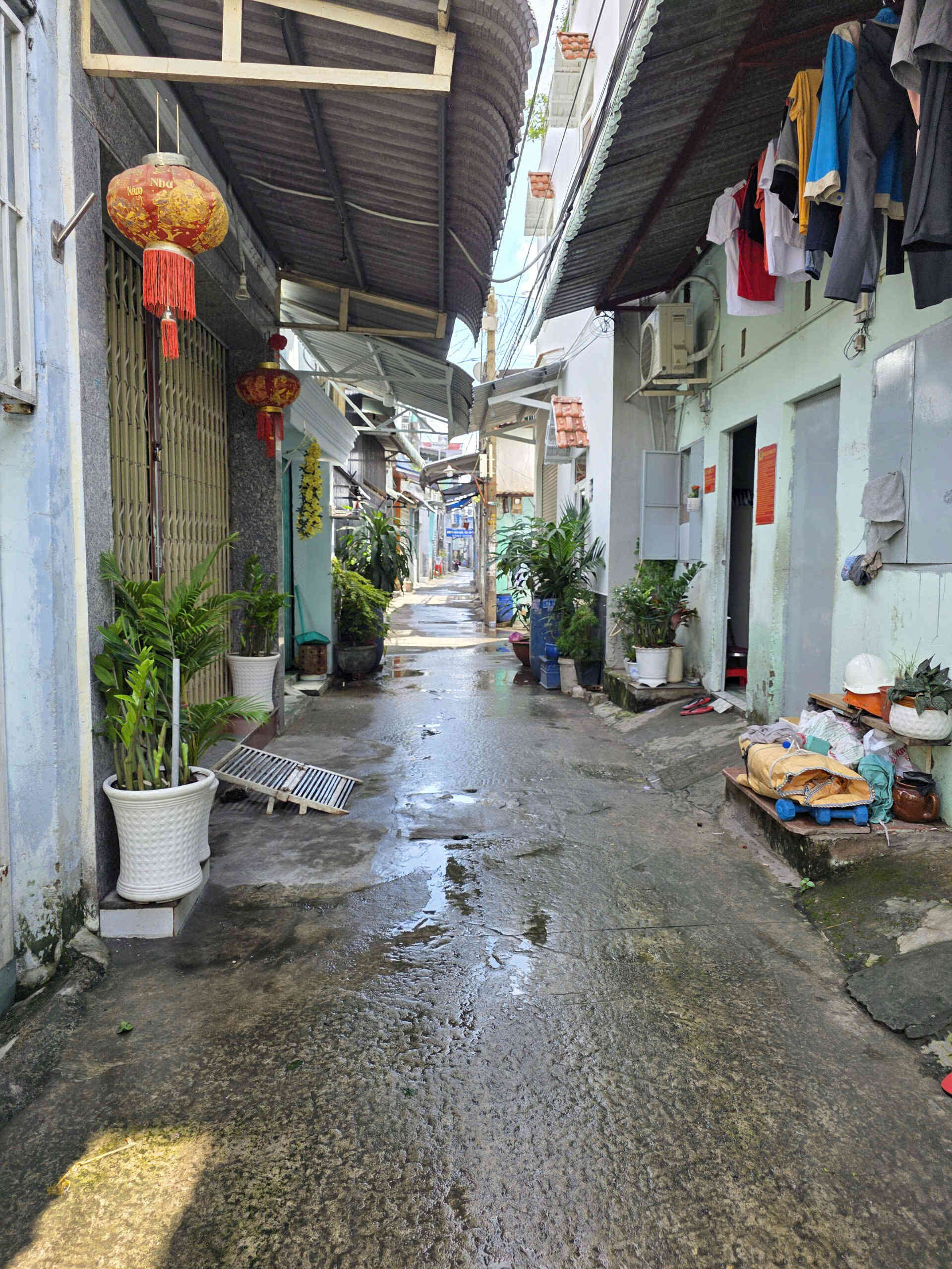 htl7868-(4)_optimized