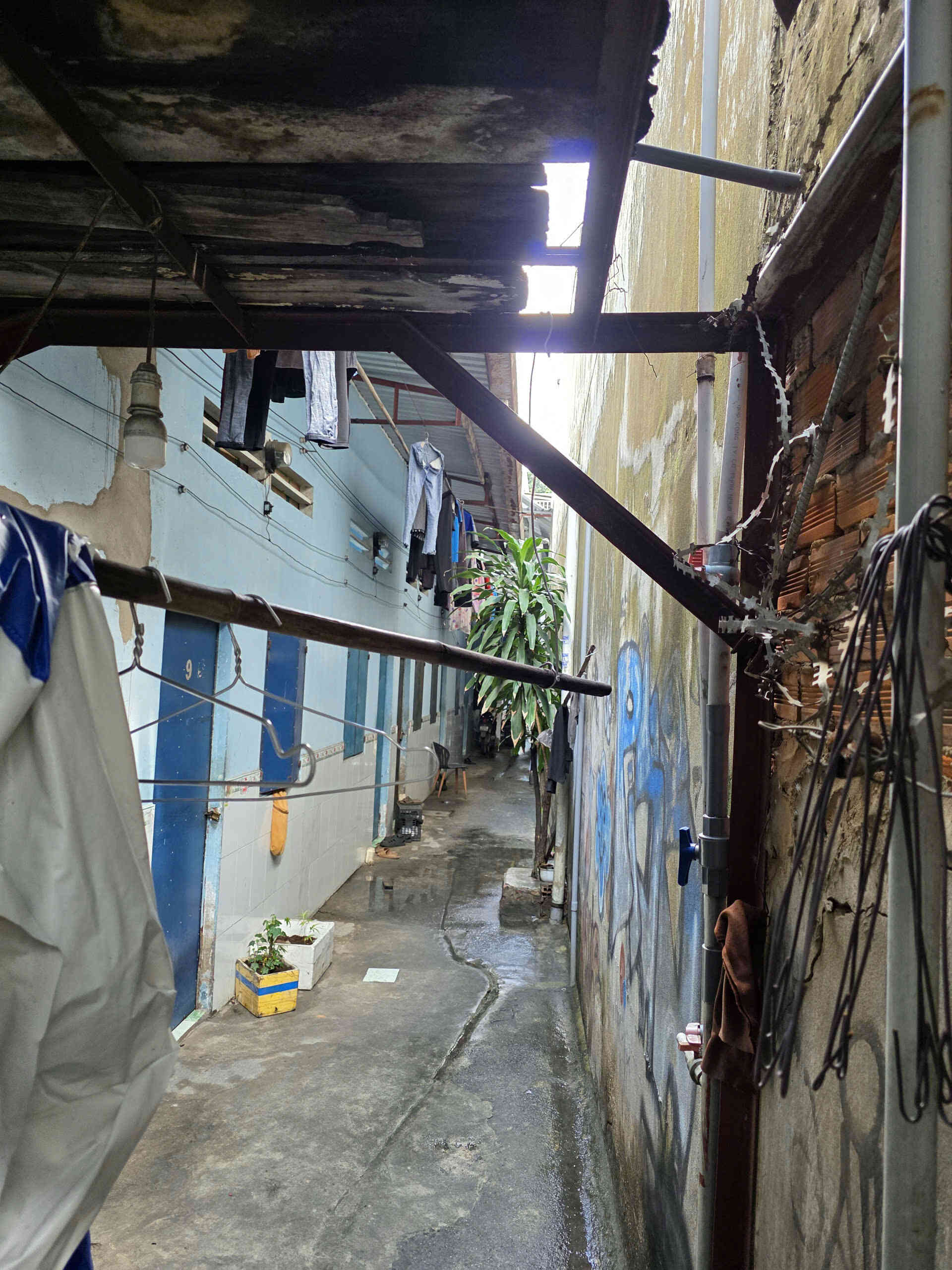 htl7868-(6)_optimized