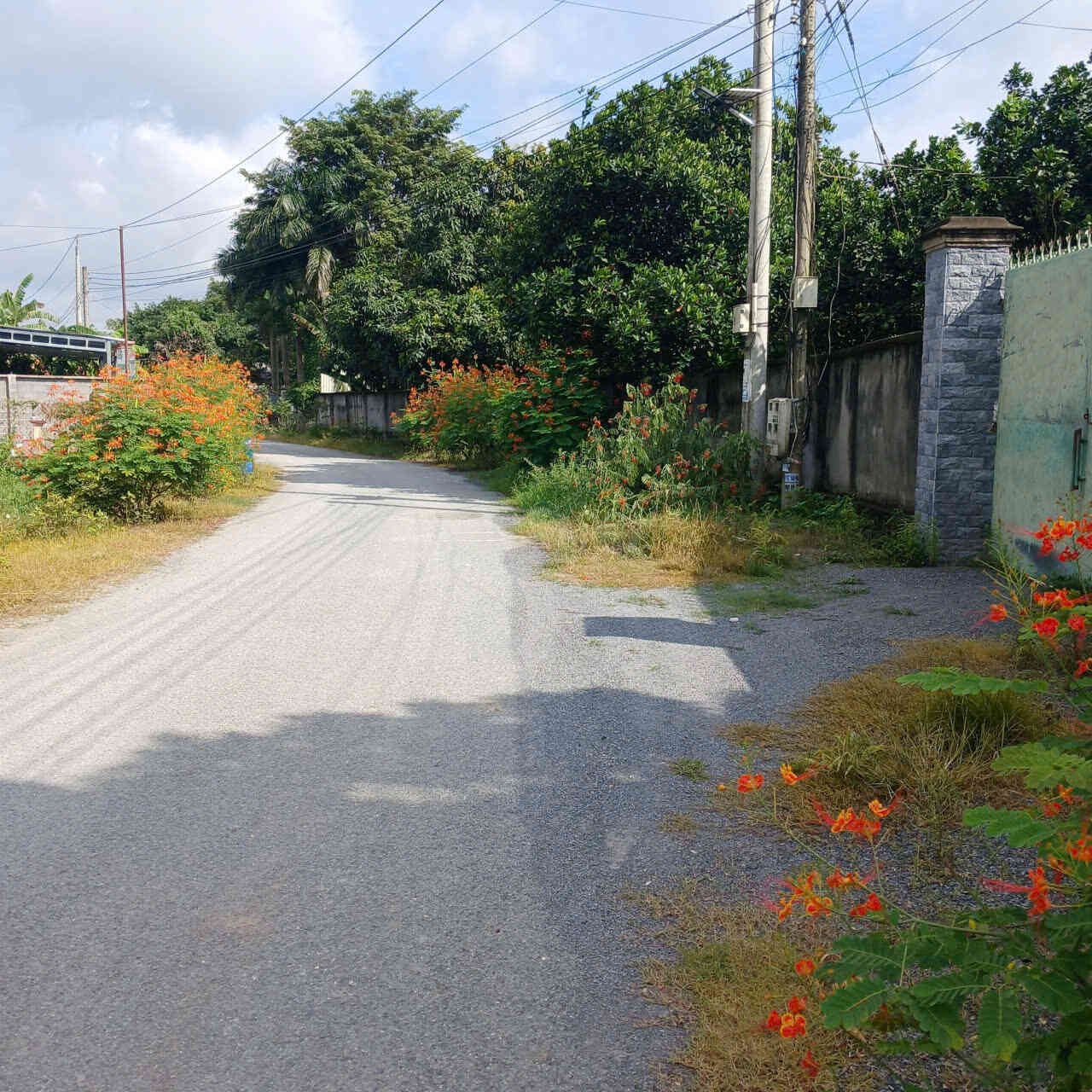 htl7933-(5)_optimized