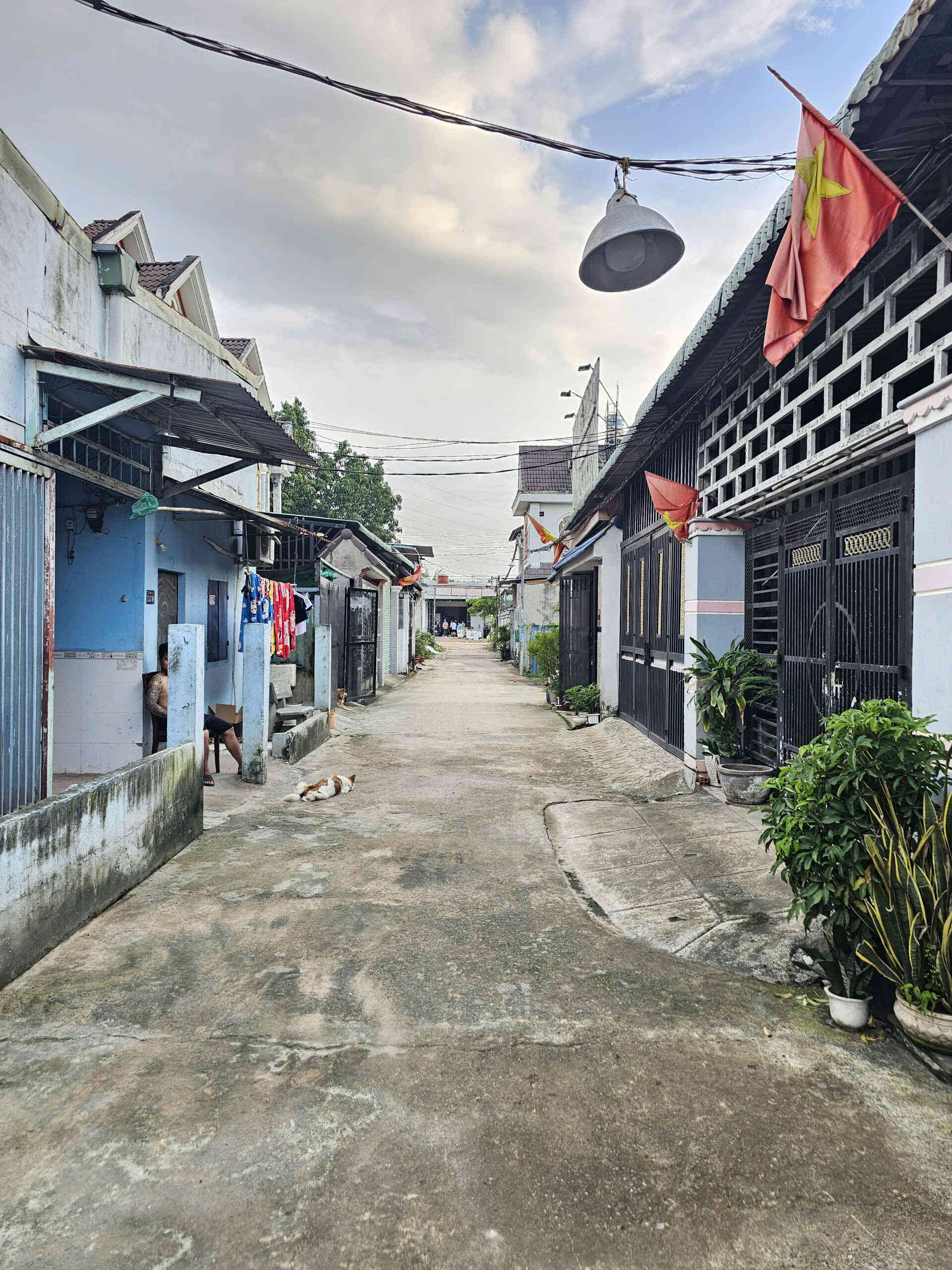 htl7971-(4)_optimized