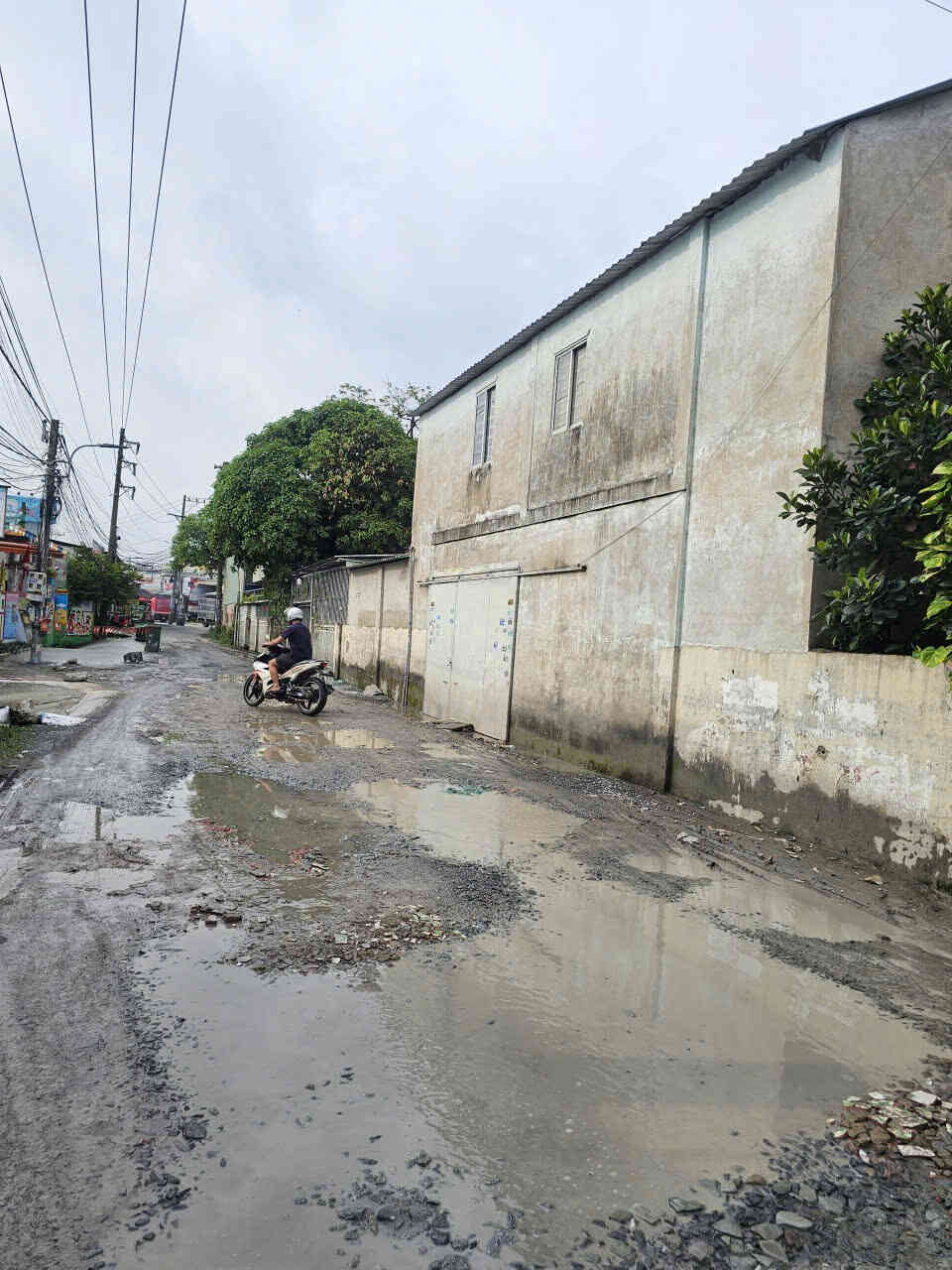 htl7982-(6)_optimized