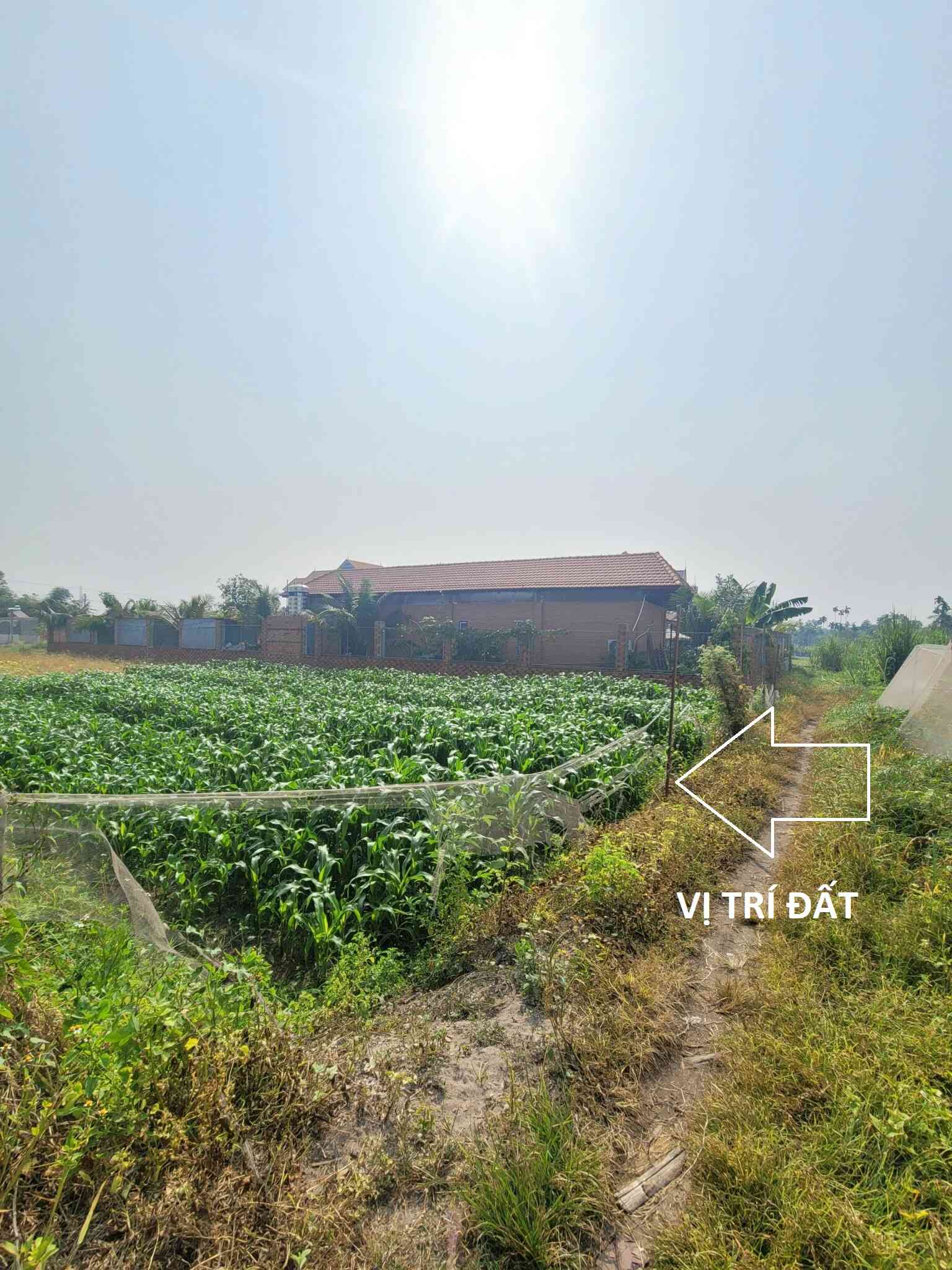 Bán đất 15x41m hẻm Trương Văn Vĩnh gần KDL Hố Lang