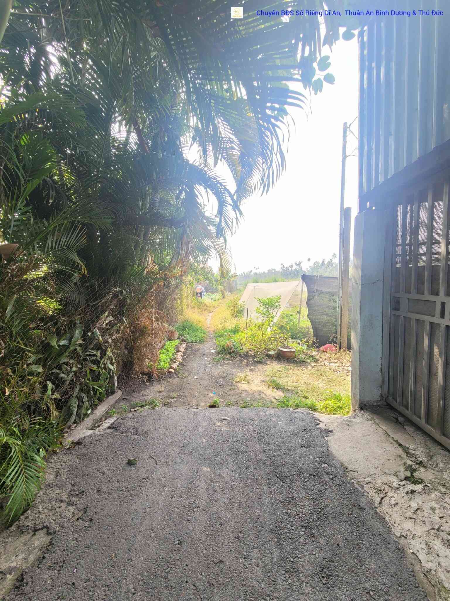 htl1655-(4)_optimized