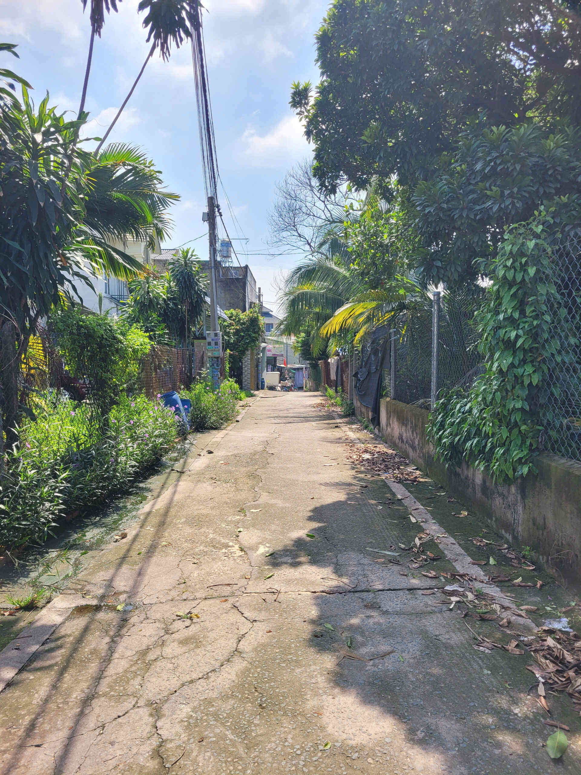 htl6627-(5)_optimized