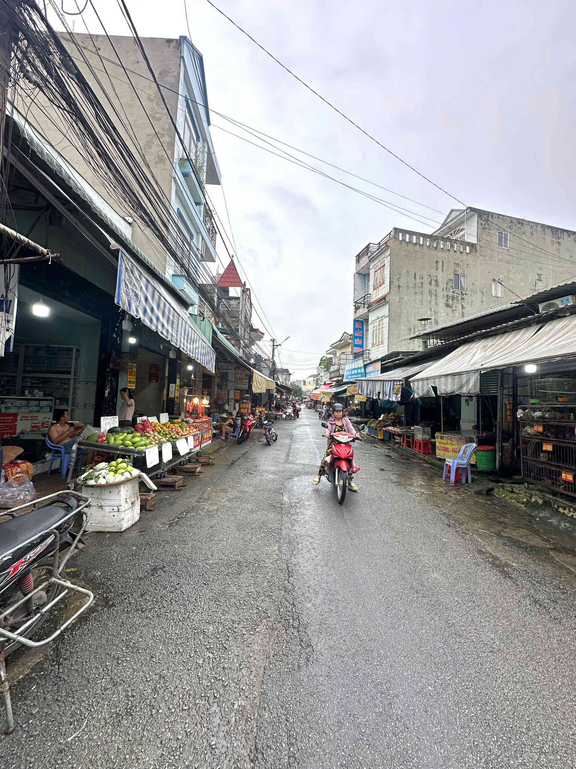 htl7999-(5)_optimized