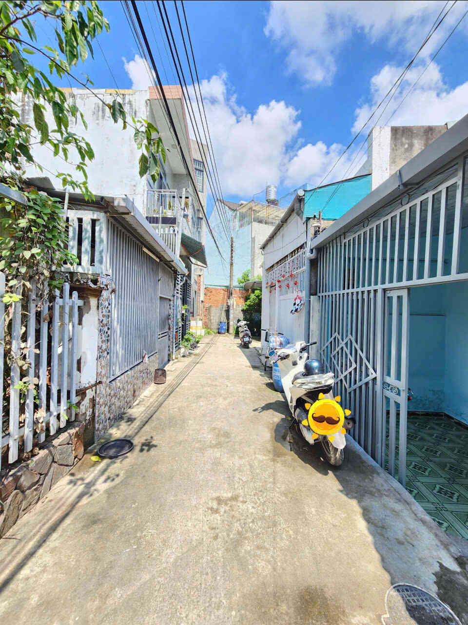 htl8005-(4)_optimized