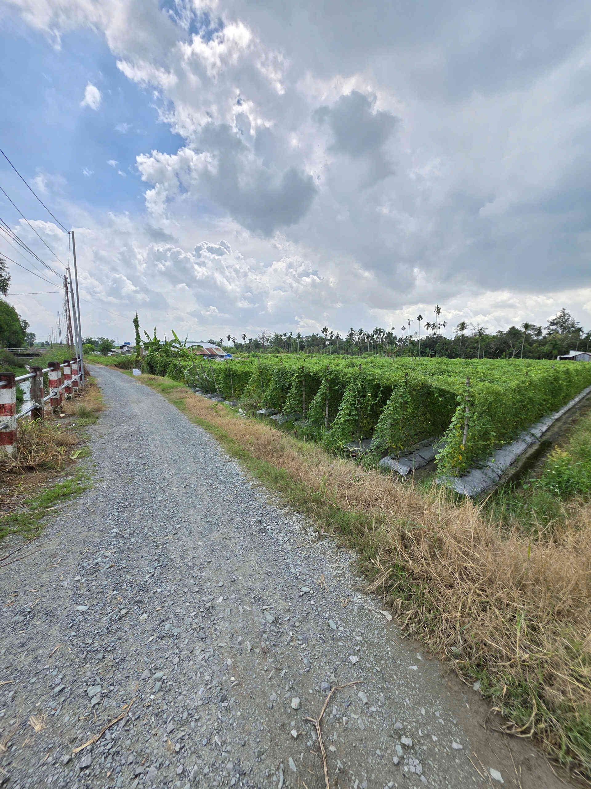 Bán đất 11.4x45m, hẻm Trương Văn Vĩnh p. Tân Bình