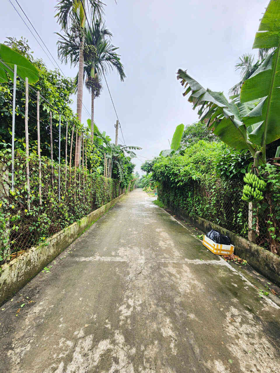 Bán đất 10x43m, mặt tiền Bình Nhâm 30 p. Bình Nhâm