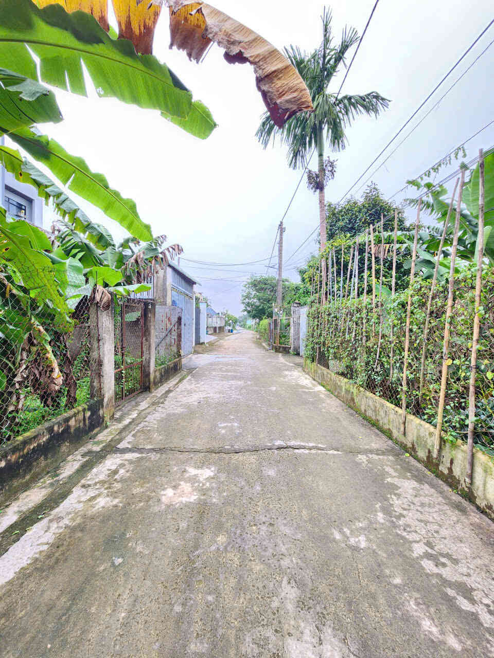 htl8024-(3)_optimized