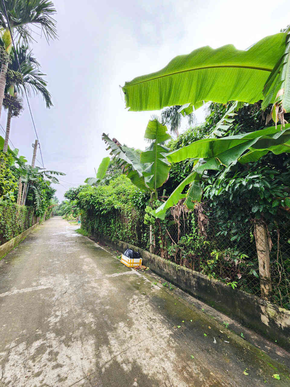 htl8024-(4)_optimized