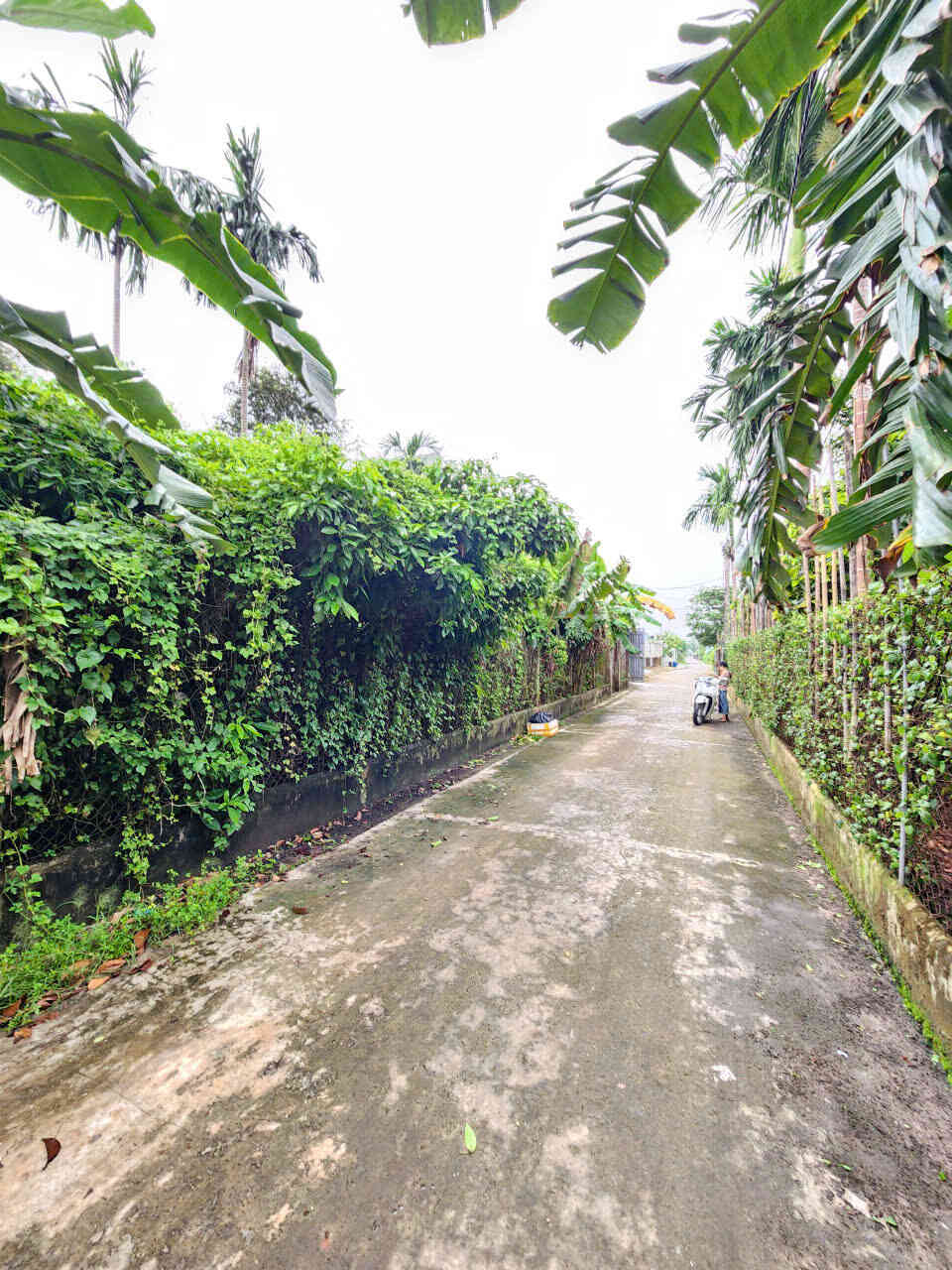 htl8024-(5)_optimized