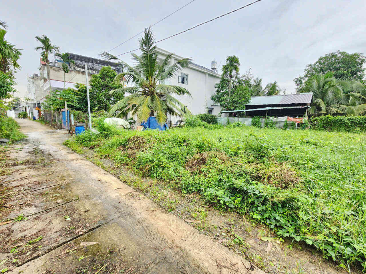 Bán đất 24x16m, hẻm Nguyễn Chí Thanh p. Bình Nhâm