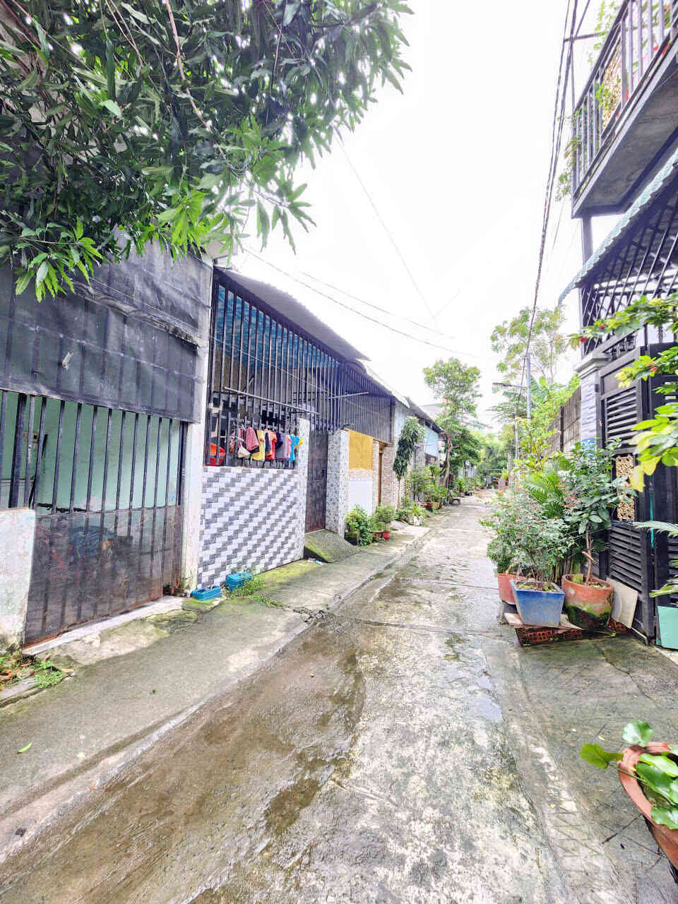 htl8076-(4)_optimized