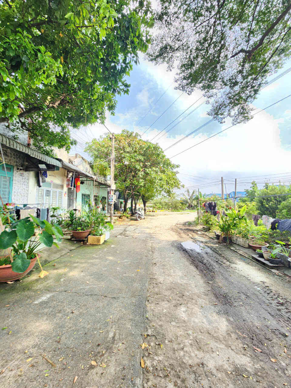 htl8098-(4)_optimized