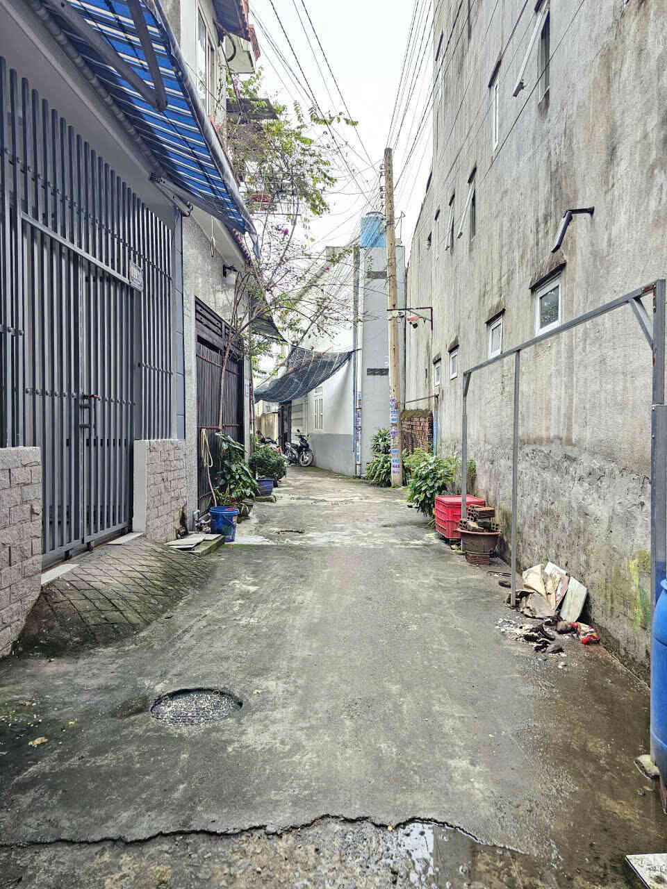 htl8099-(5)_optimized