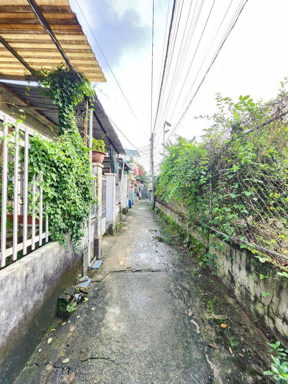 Bán nhà cấp 4 (5x16m), hẻm Lái Thiêu 29 p. Lái Thiêu