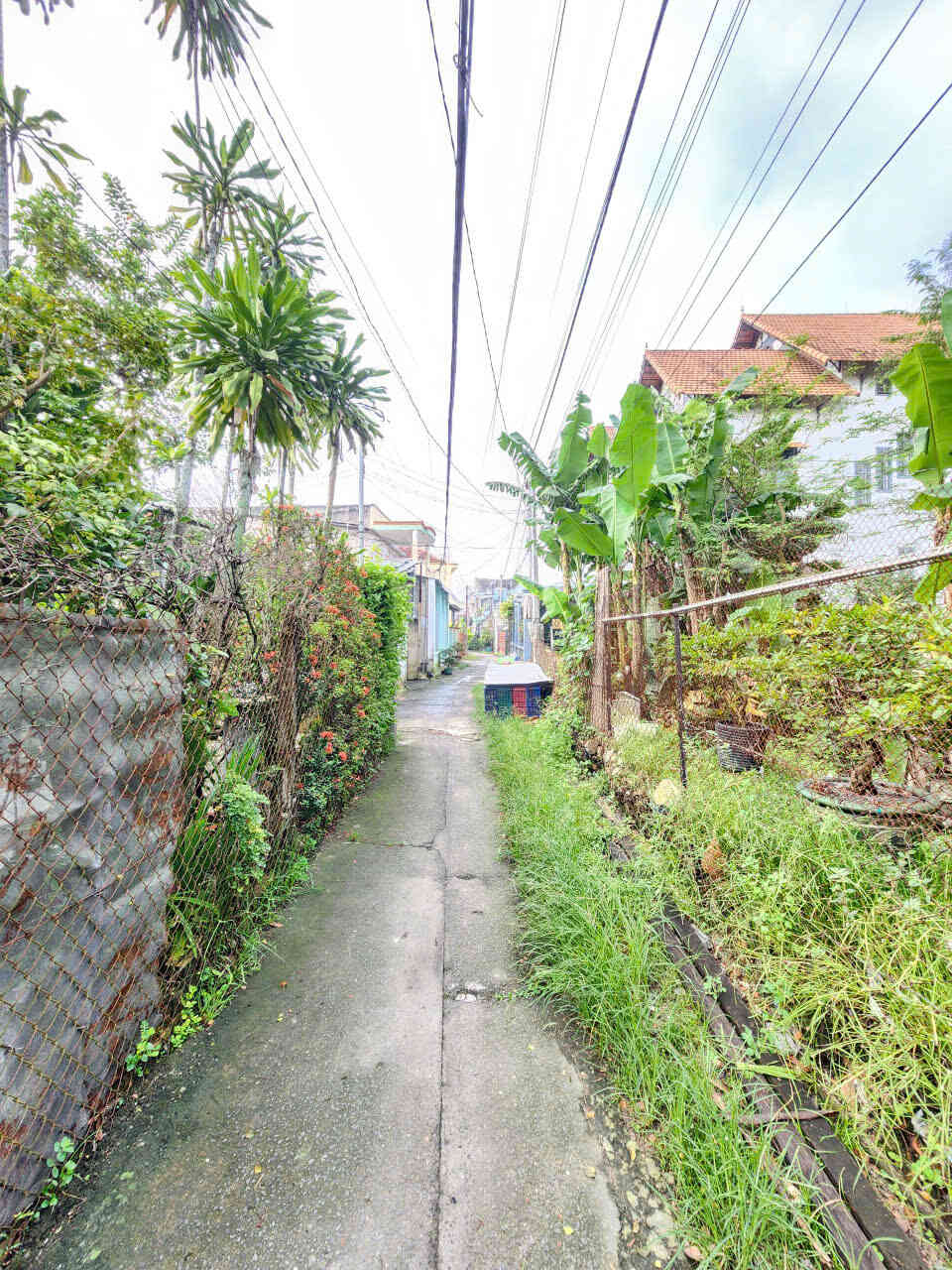 htl8115-(4)_optimized