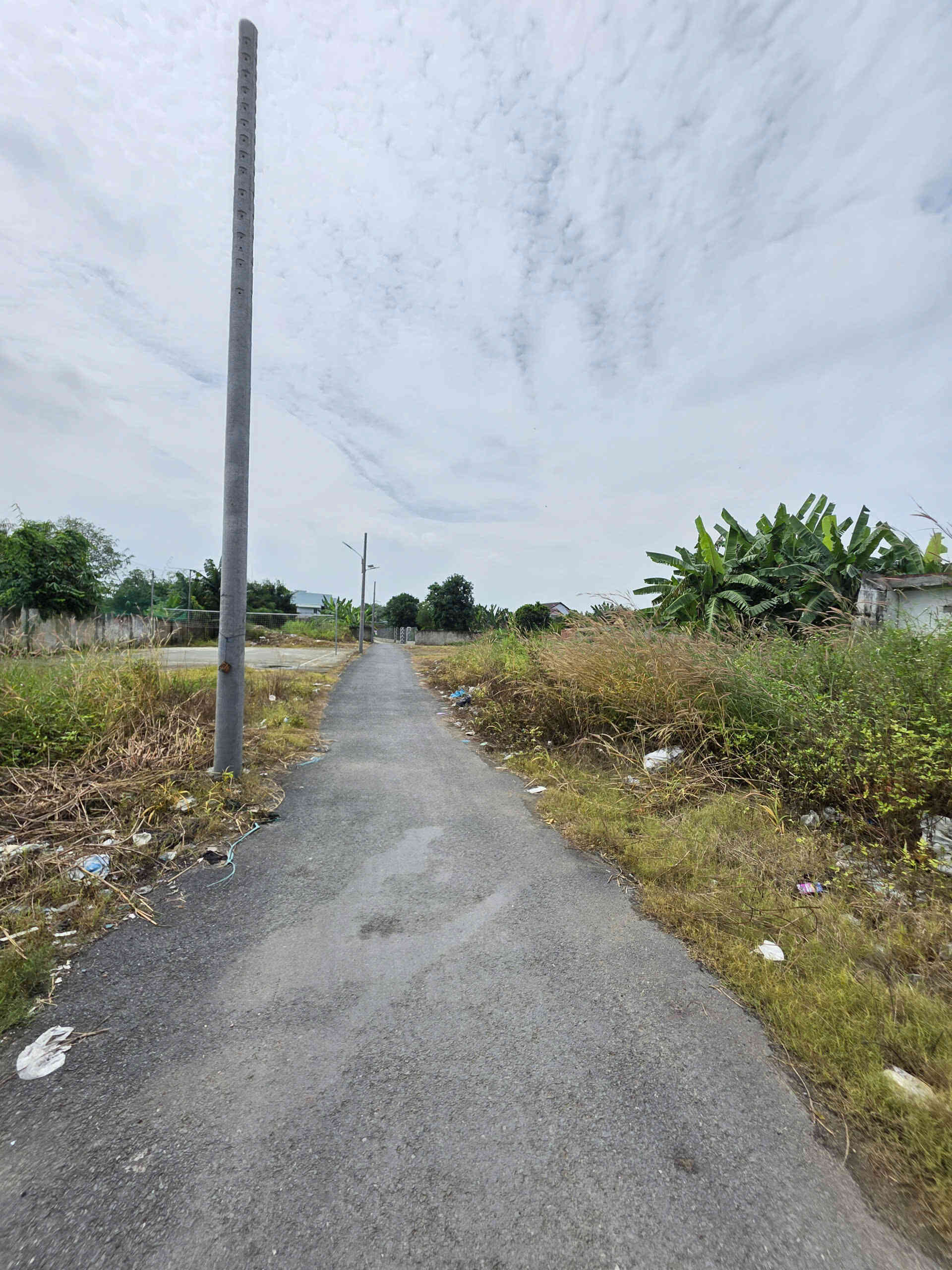 Bán đất 4x16.5m, hẻm Bùi Hữu Nghĩa p. Tân Hạnh gần chợ Tân Hạnh