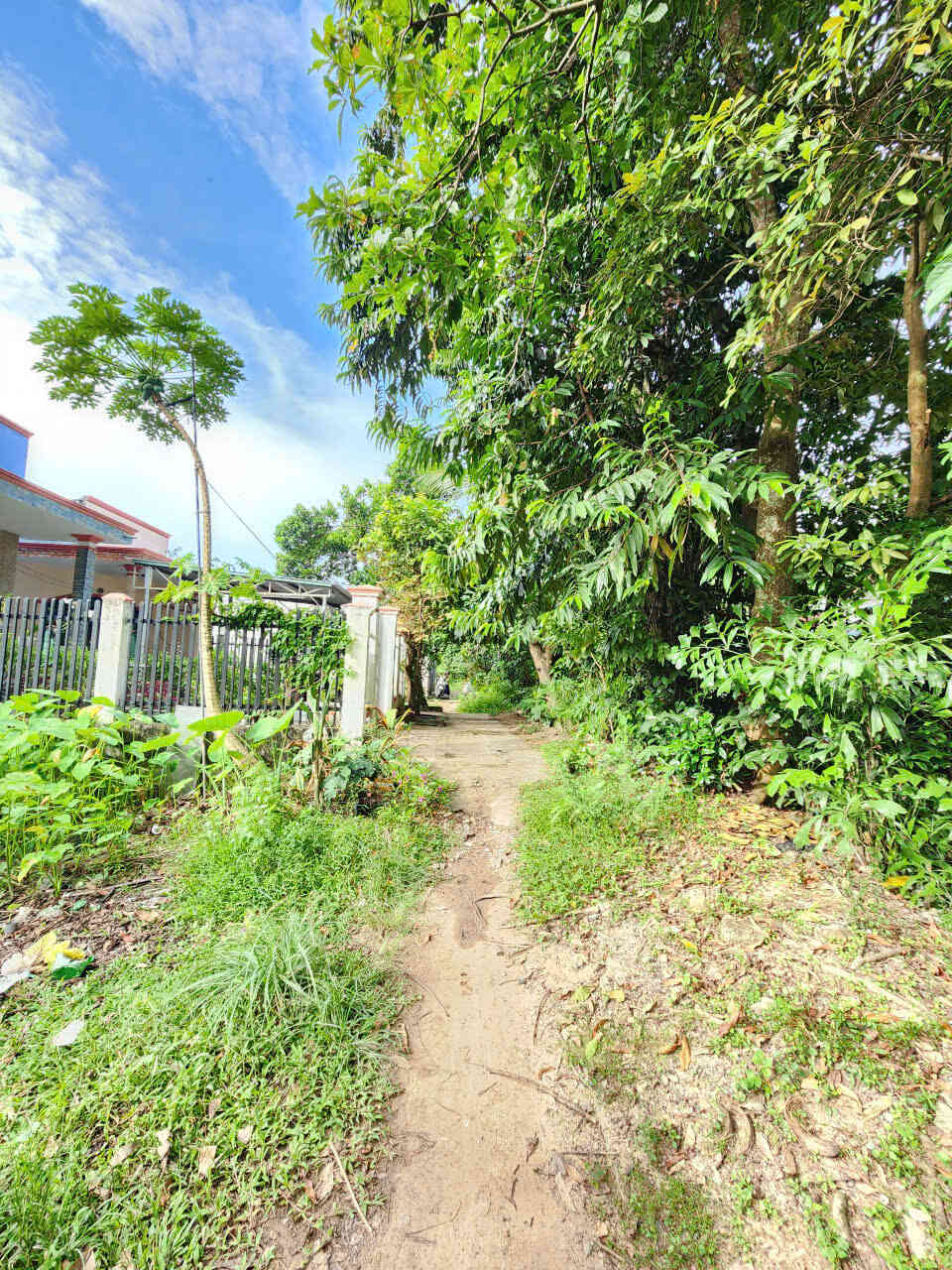 htl8217-(3)_optimized