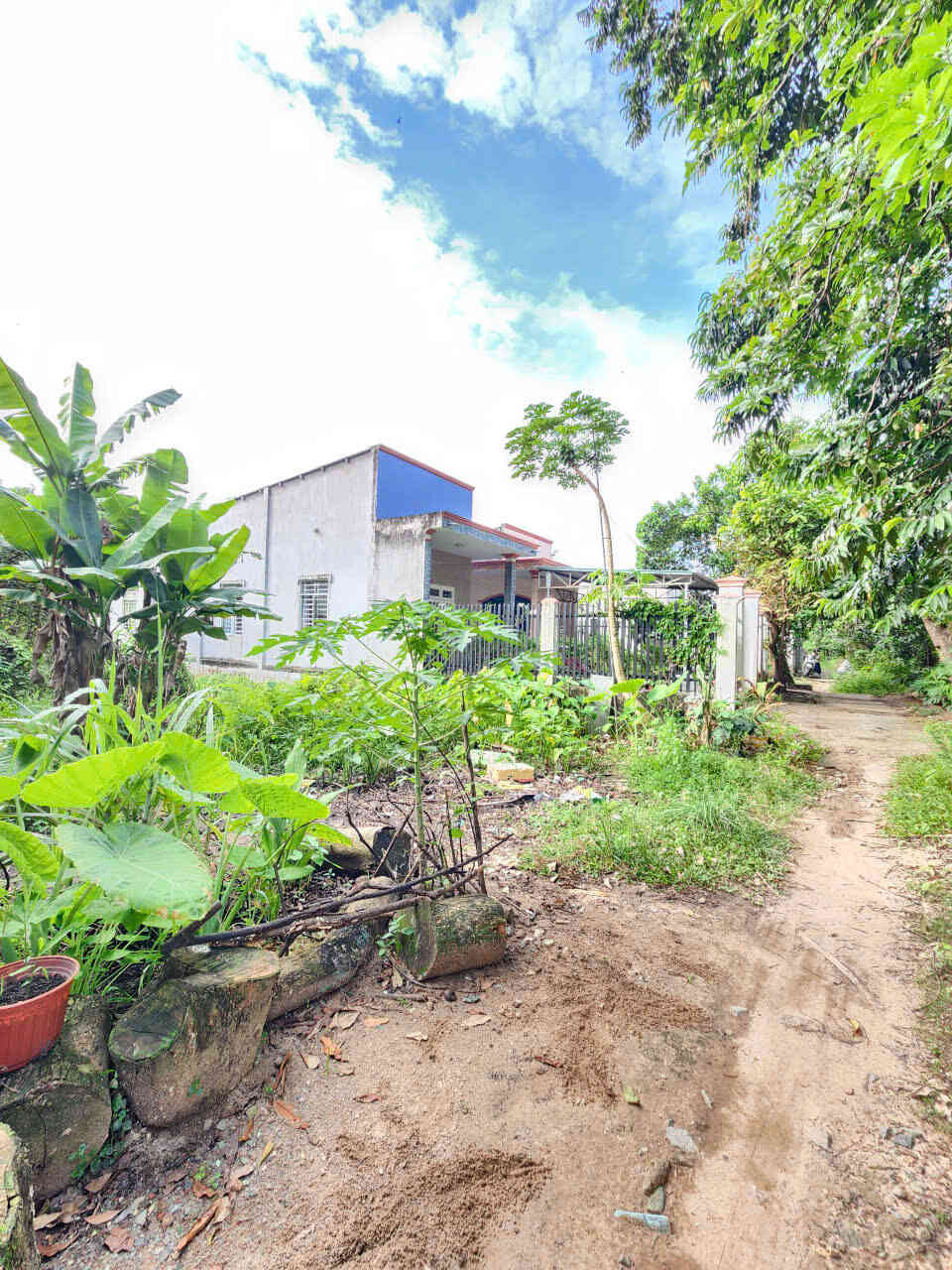 htl8217-(4)_optimized