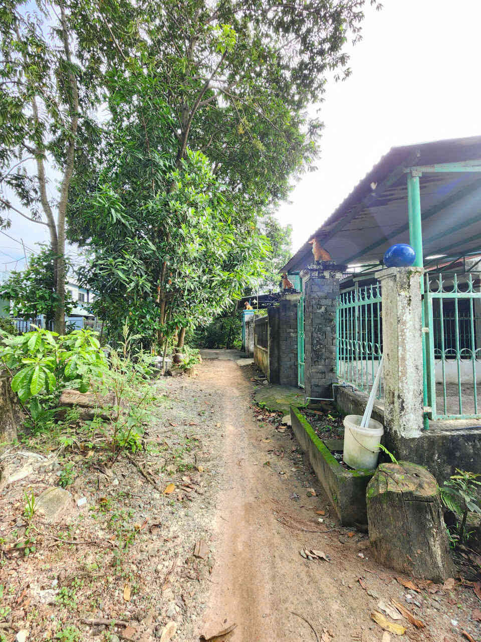 htl8217-(5)_optimized