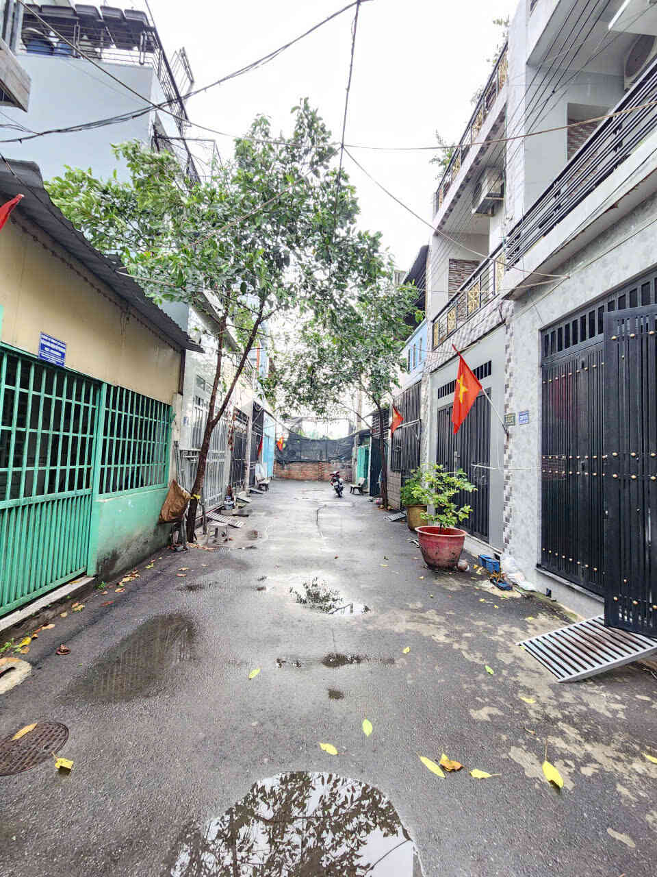 htl8441-(4)_optimized