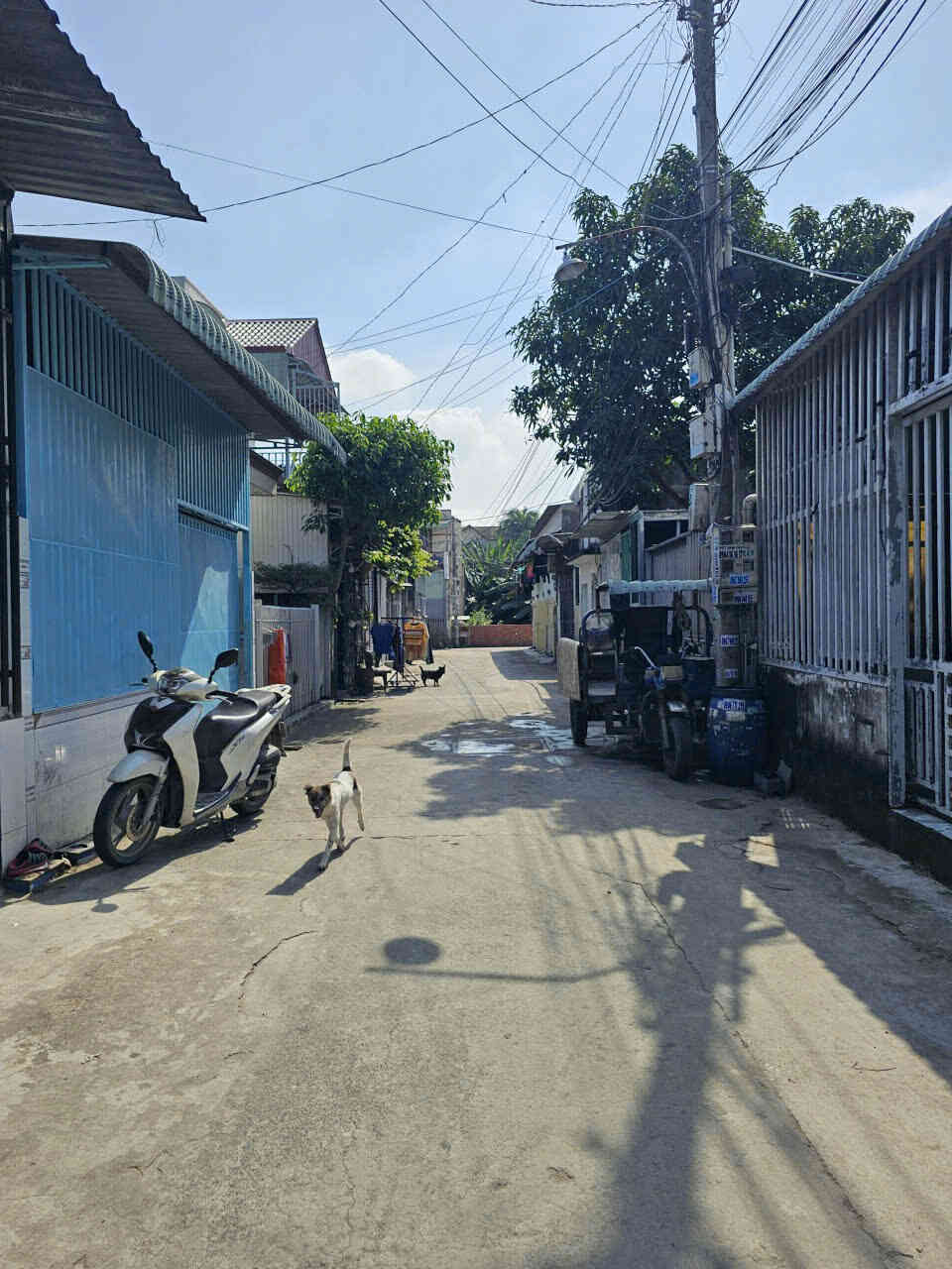 htl8486-(5)_optimized