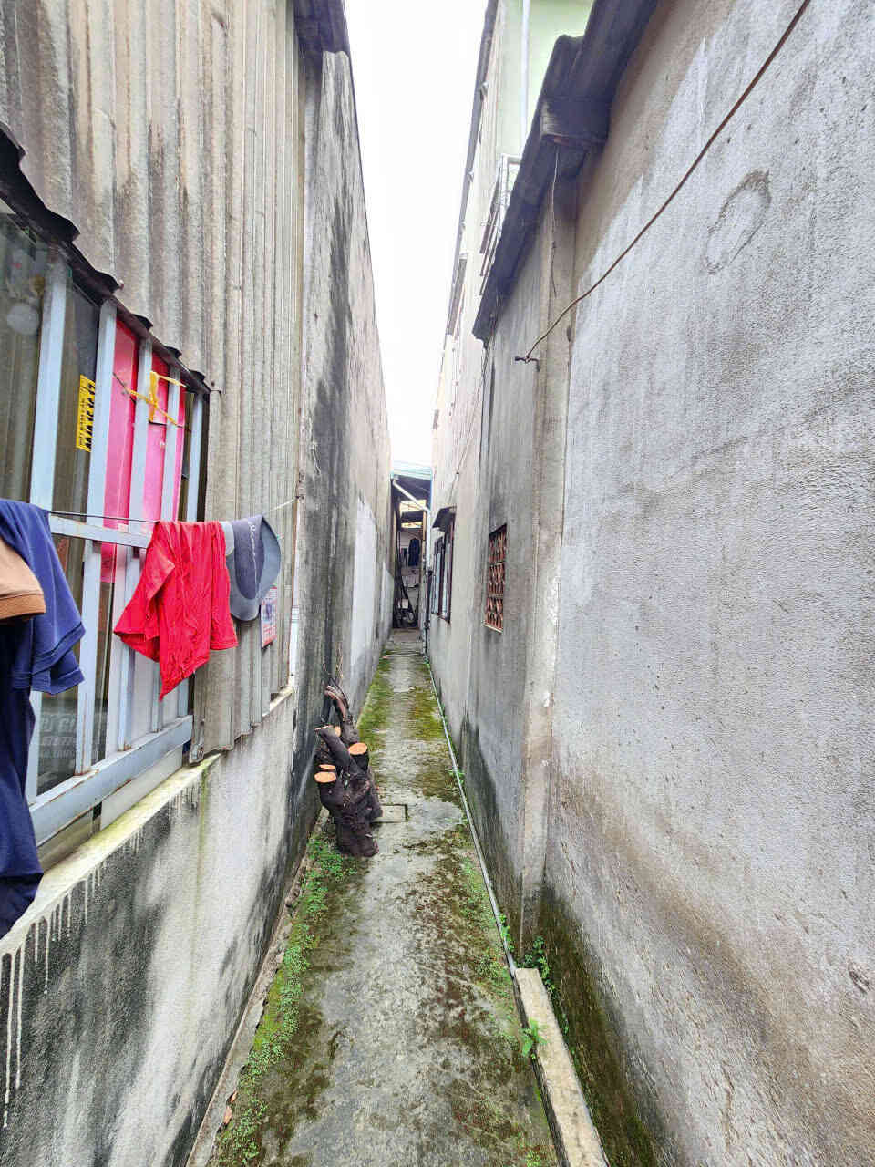 htl8493-(5)_optimized