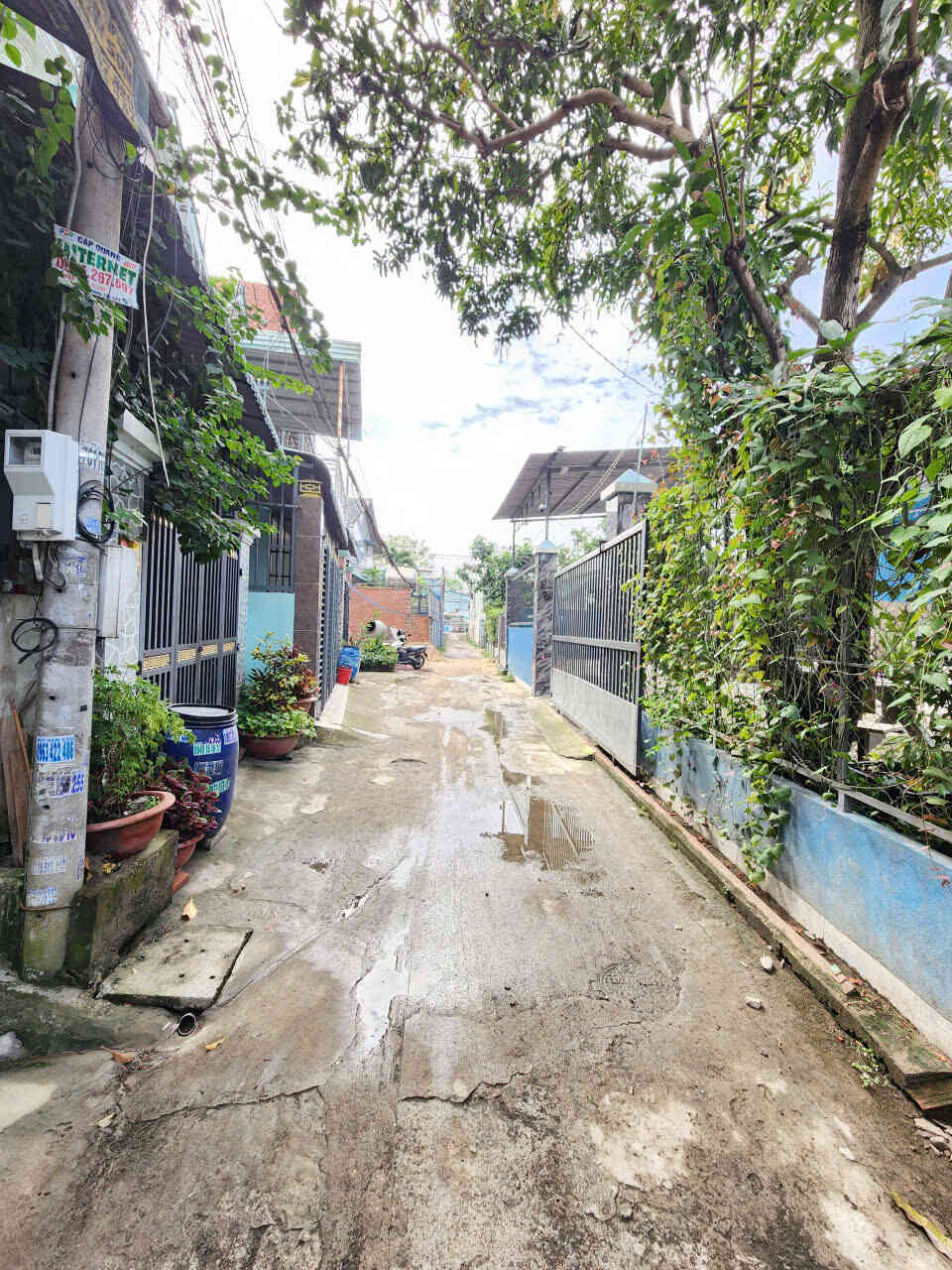 htl8519-(3)_optimized