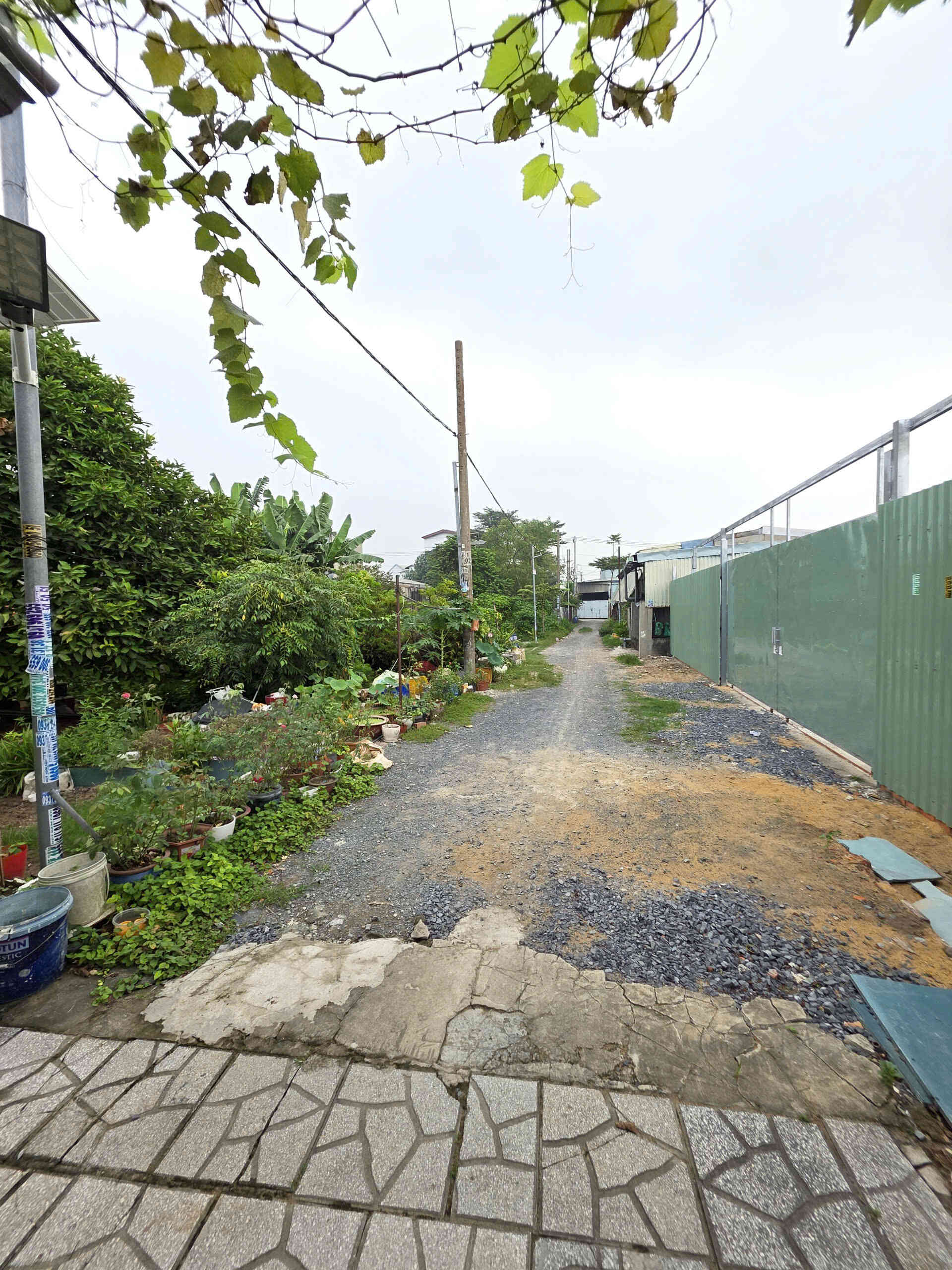 htl8541-(4)_optimized