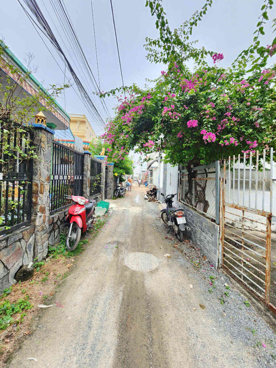 htl8544-(4)_optimized