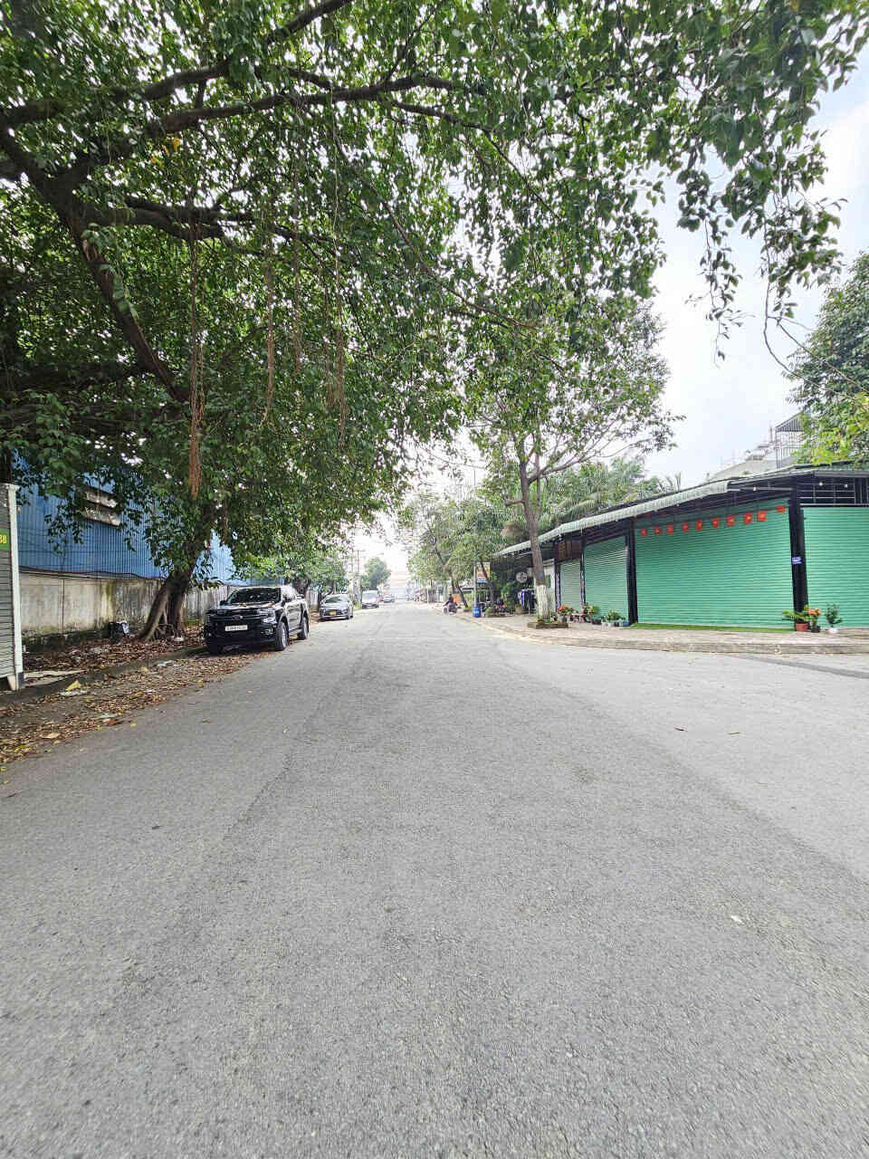 htl8549-(6)_optimized