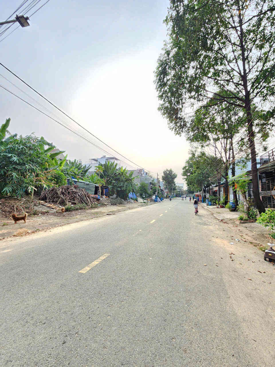 htl8553-(6)_optimized