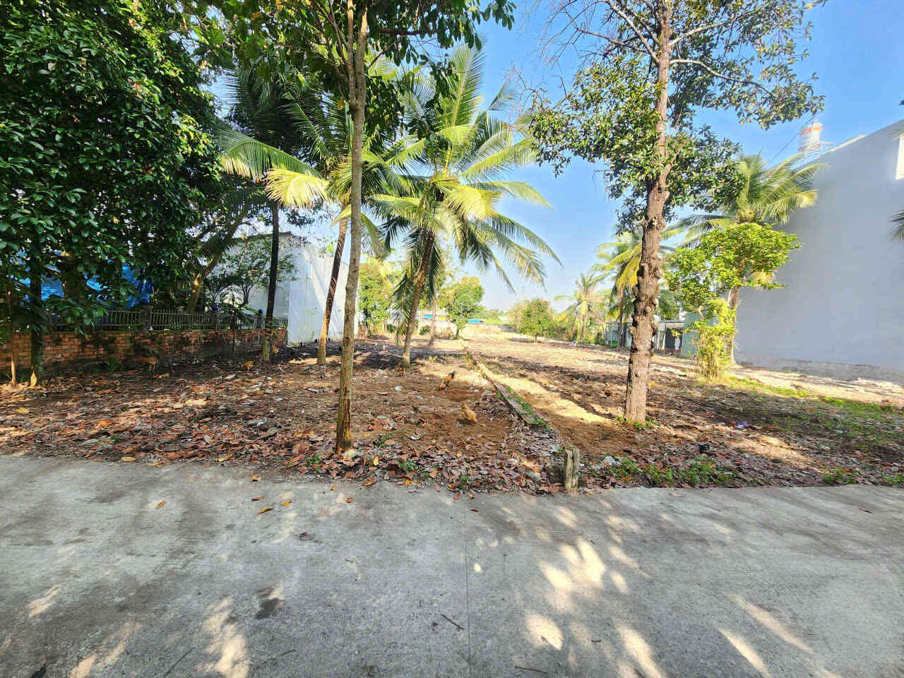 Bán đất 10×43.5m, mặt tiền An Thạnh 36 p. An Thạnh