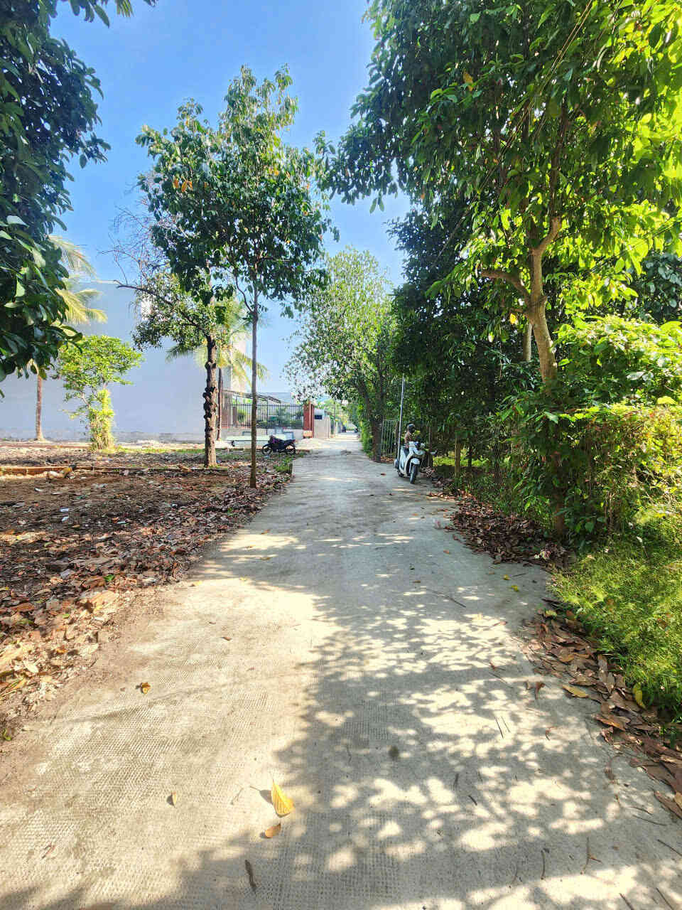 Bán đất 10×43.5m, mặt tiền An Thạnh 36 p. An Thạnh